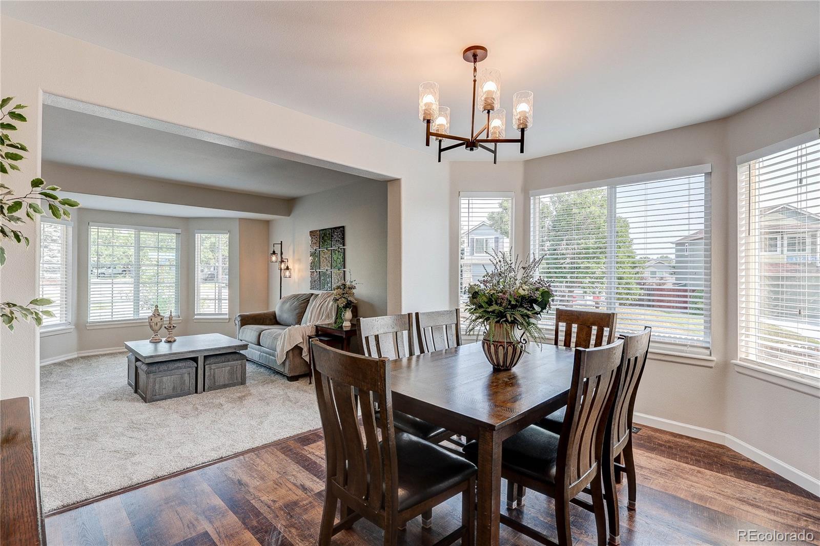 MLS Image #8 for 226  chelsea street,castle rock, Colorado