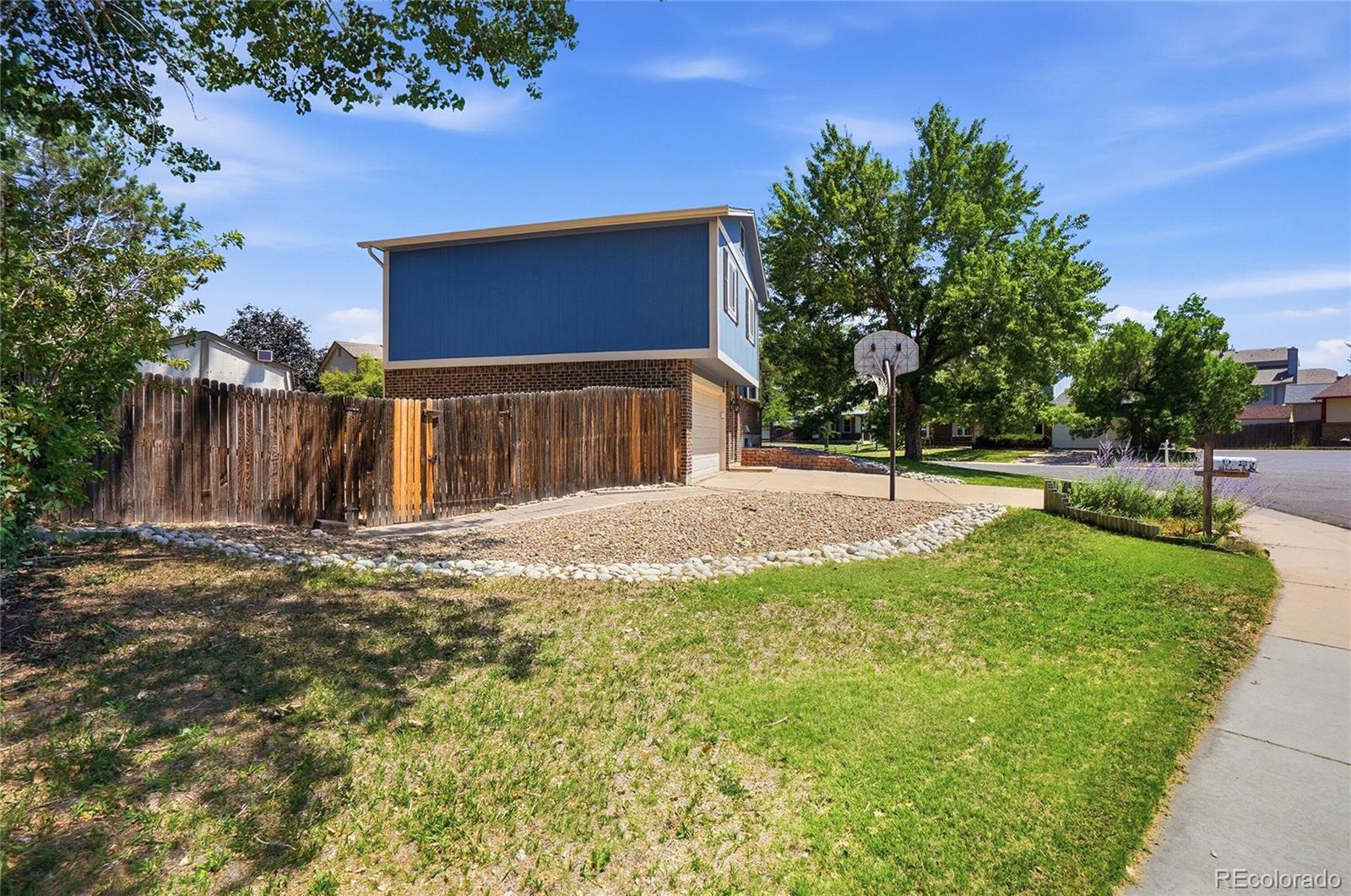 MLS Image #2 for 6740  devinney street,arvada, Colorado