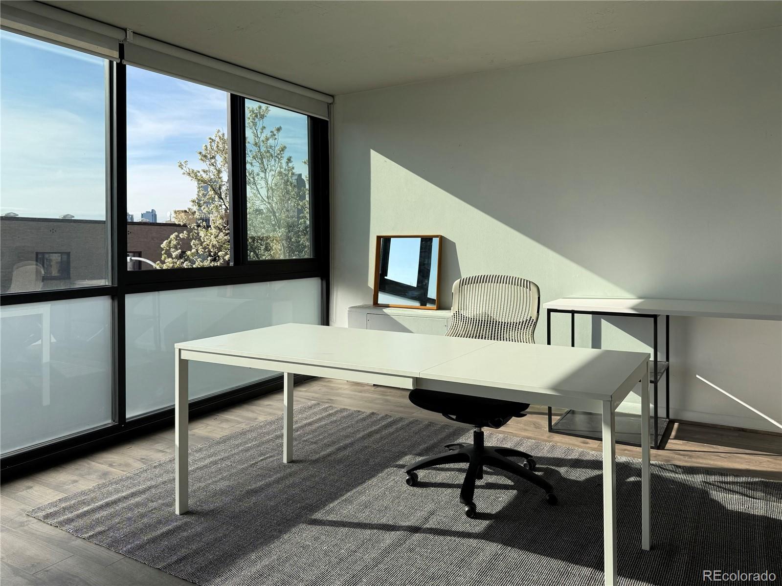 MLS Image #18 for 1050 n corona street 317,denver, Colorado