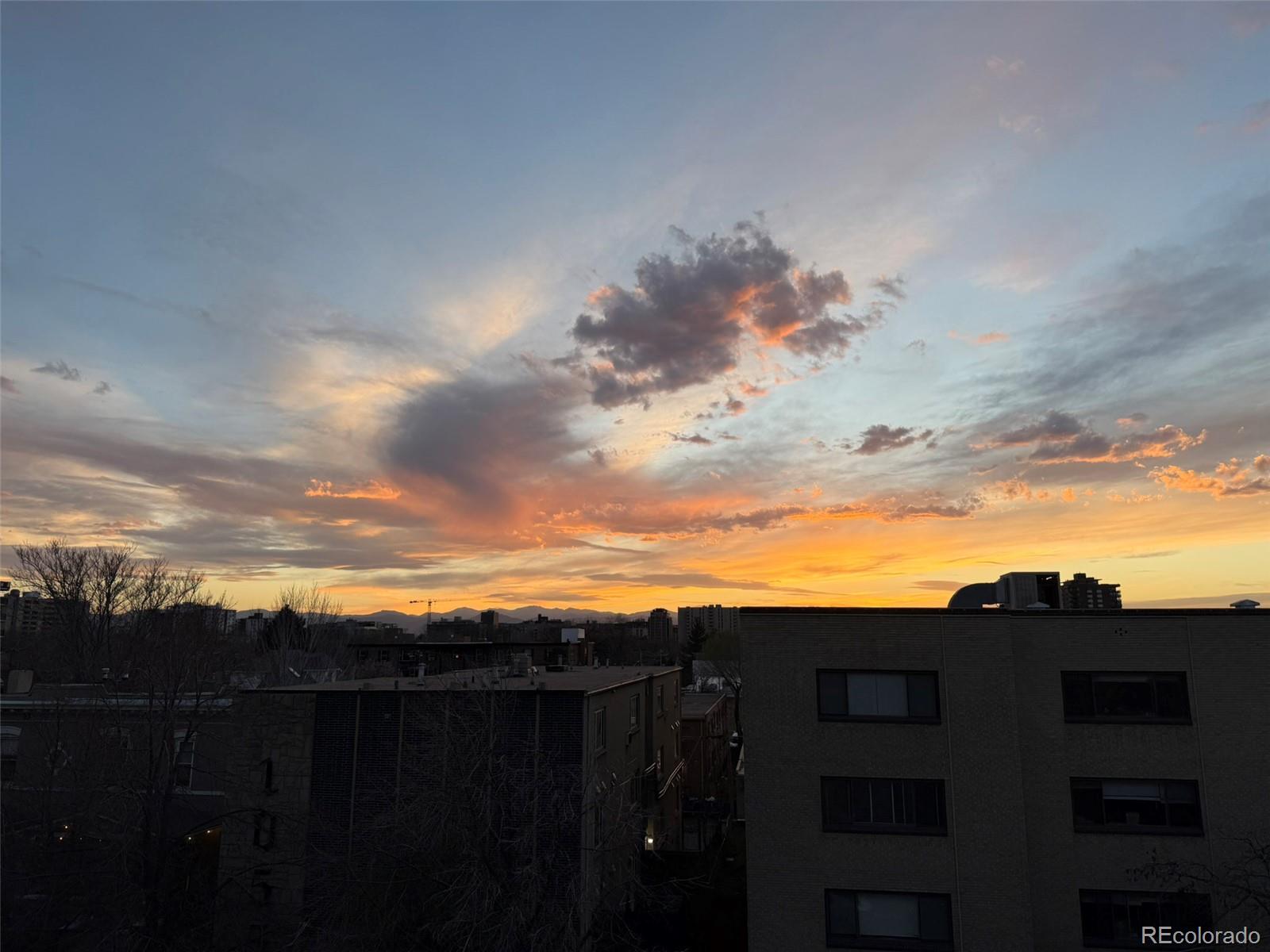MLS Image #22 for 1050 n corona street 317,denver, Colorado