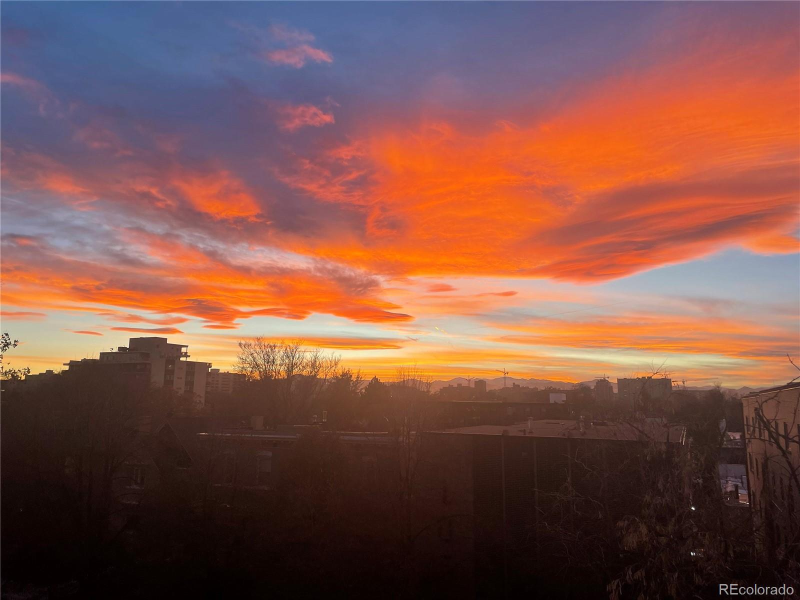 MLS Image #3 for 1050 n corona street 317,denver, Colorado