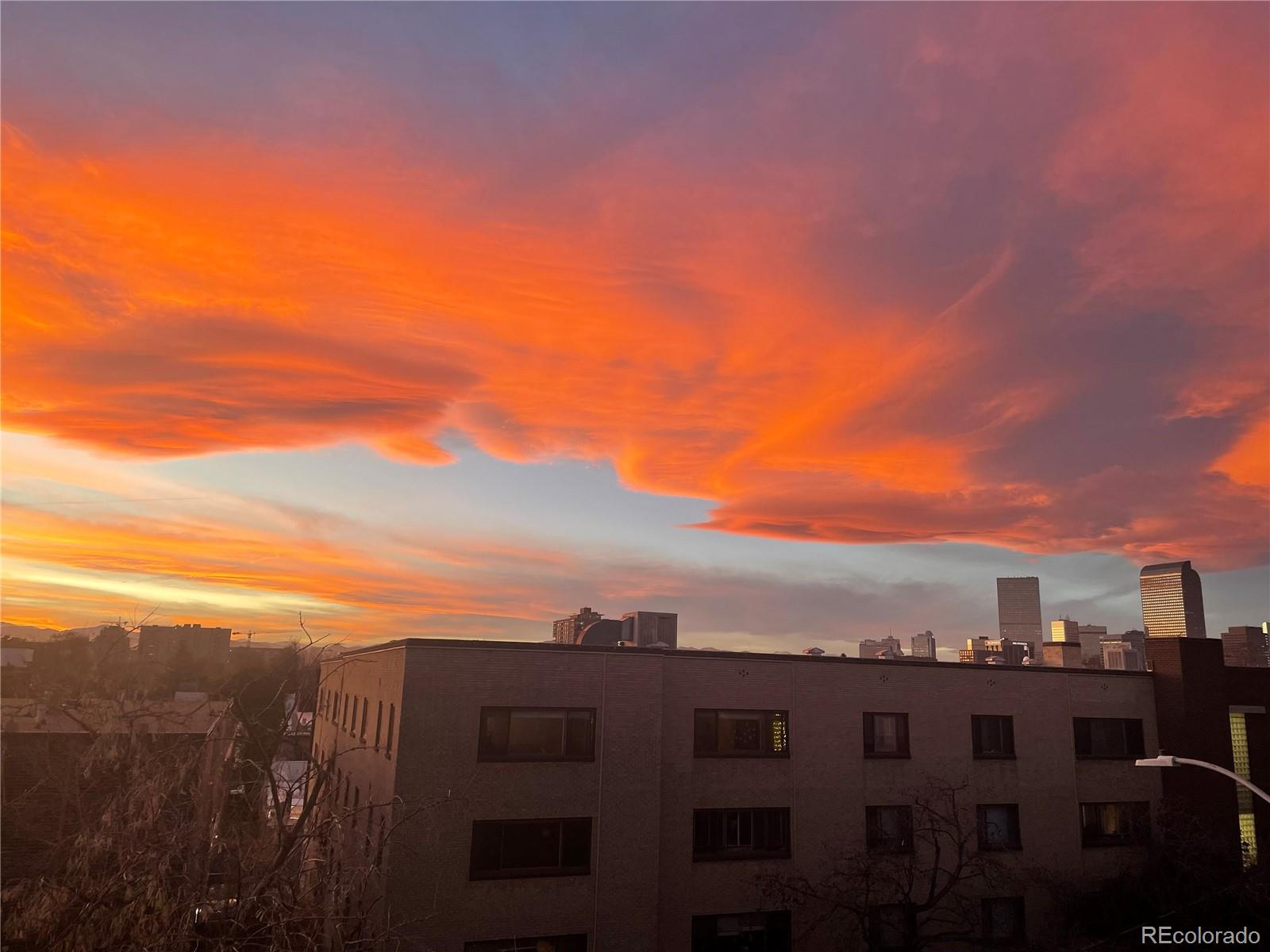 MLS Image #4 for 1050 n corona street 317,denver, Colorado
