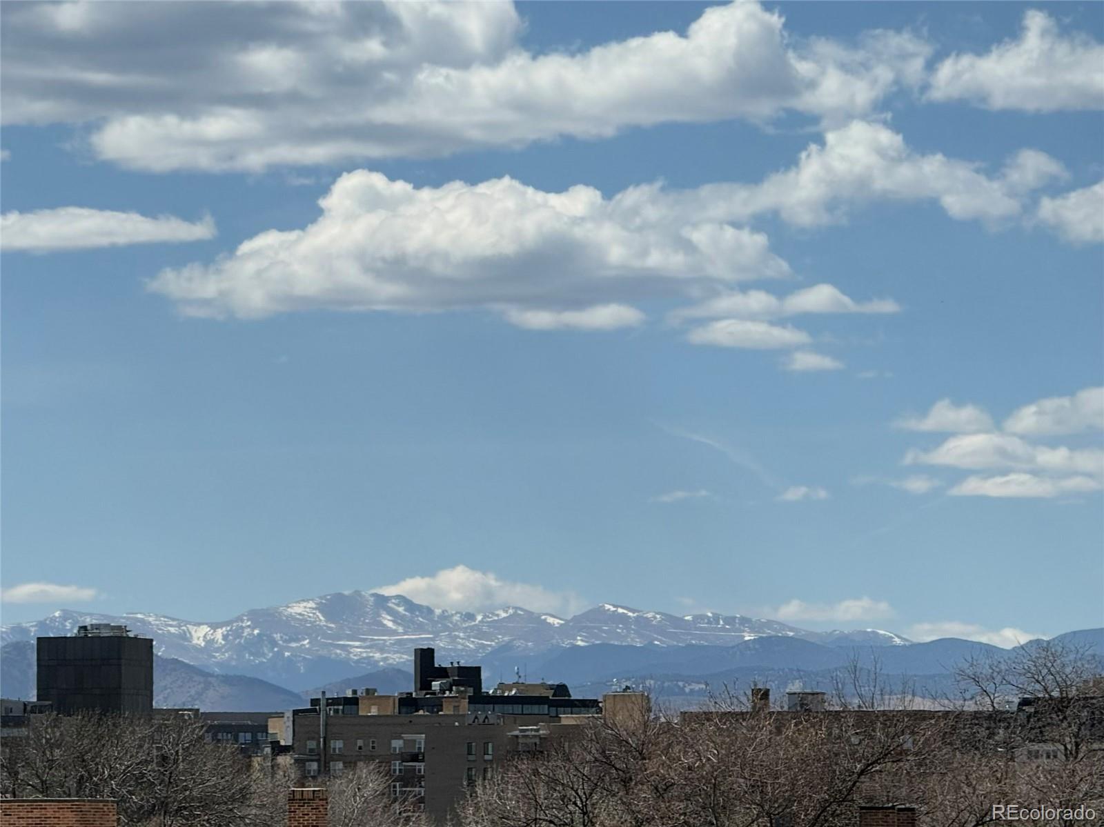 MLS Image #8 for 1050 n corona street 317,denver, Colorado