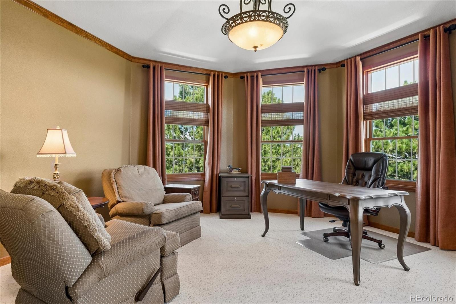 MLS Image #20 for 5551  ponderosa drive,parker, Colorado
