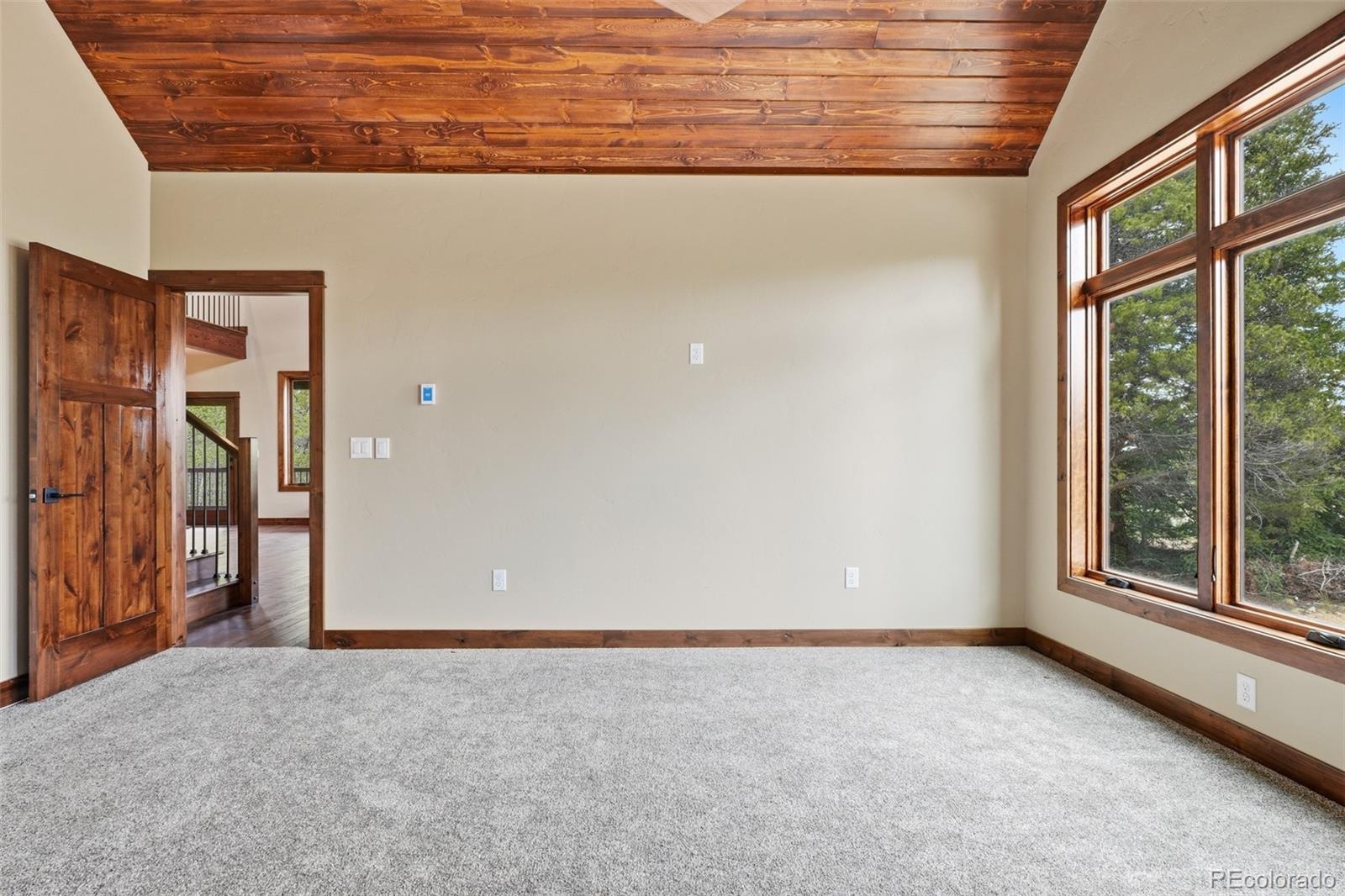 MLS Image #27 for 211  foxtail court,fairplay, Colorado