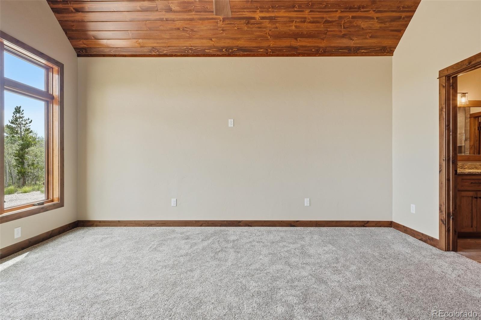 MLS Image #29 for 211  foxtail court,fairplay, Colorado