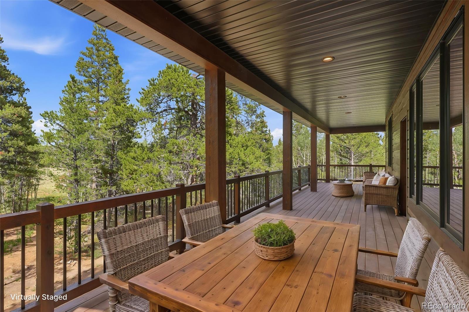 MLS Image #5 for 211  foxtail court,fairplay, Colorado
