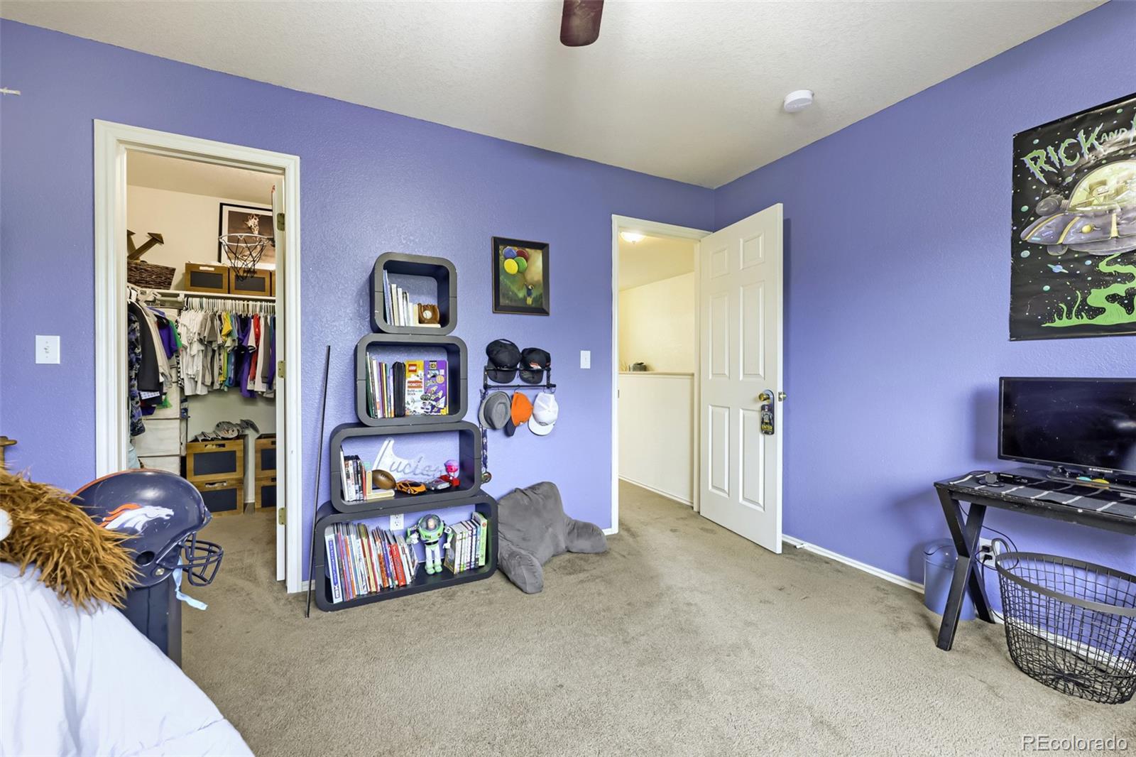 MLS Image #19 for 3152 e 106th avenue,denver, Colorado