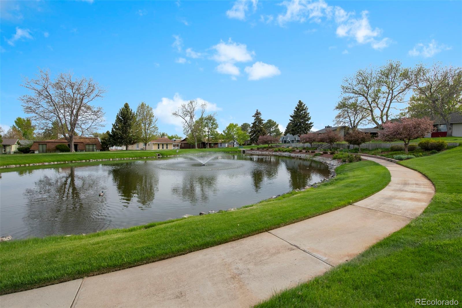 MLS Image #27 for 47  curtis court,broomfield, Colorado