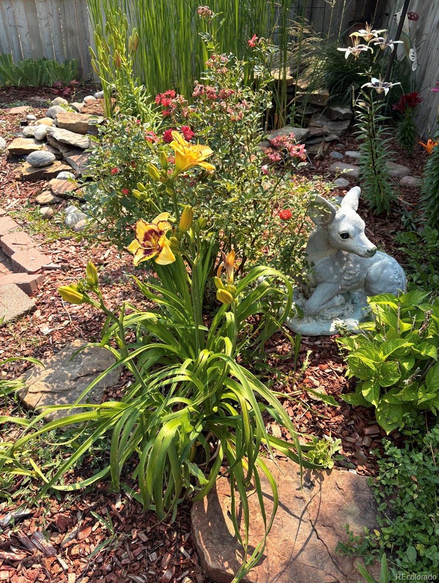 MLS Image #34 for 6760 w 98th circle,westminster, Colorado