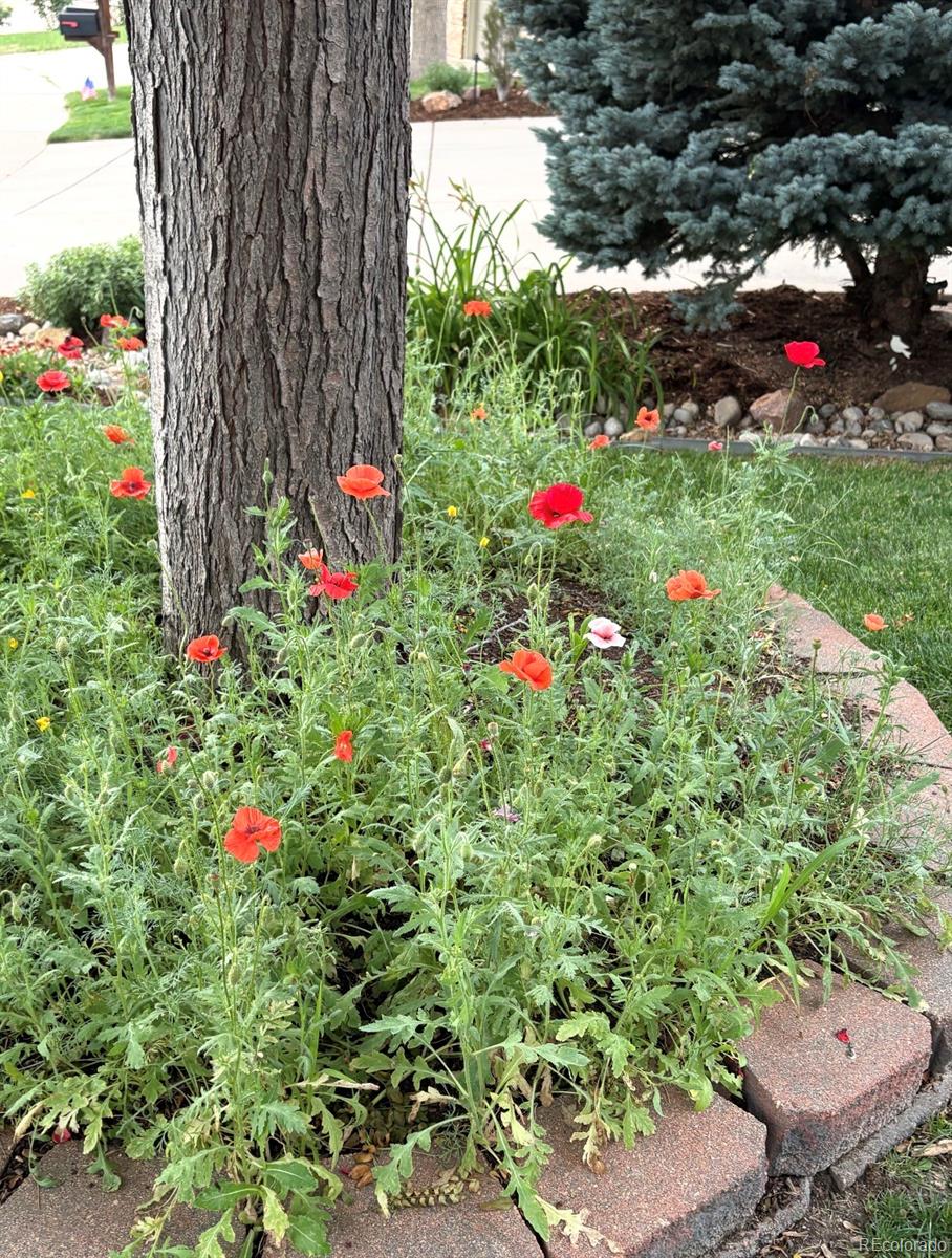 MLS Image #35 for 6760 w 98th circle,westminster, Colorado