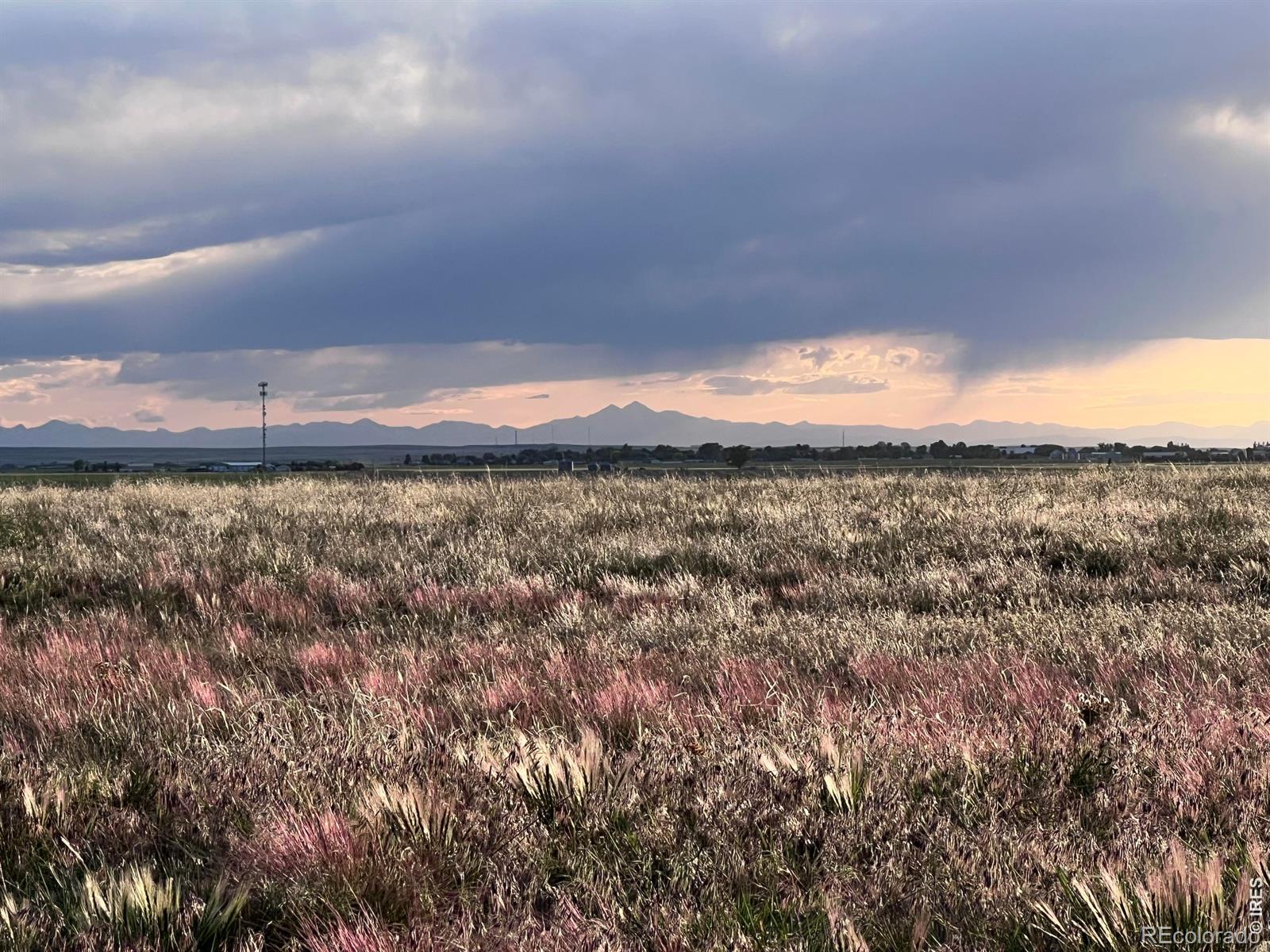 MLS Image #2 for 15563  road 7.3 ,wiggins, Colorado