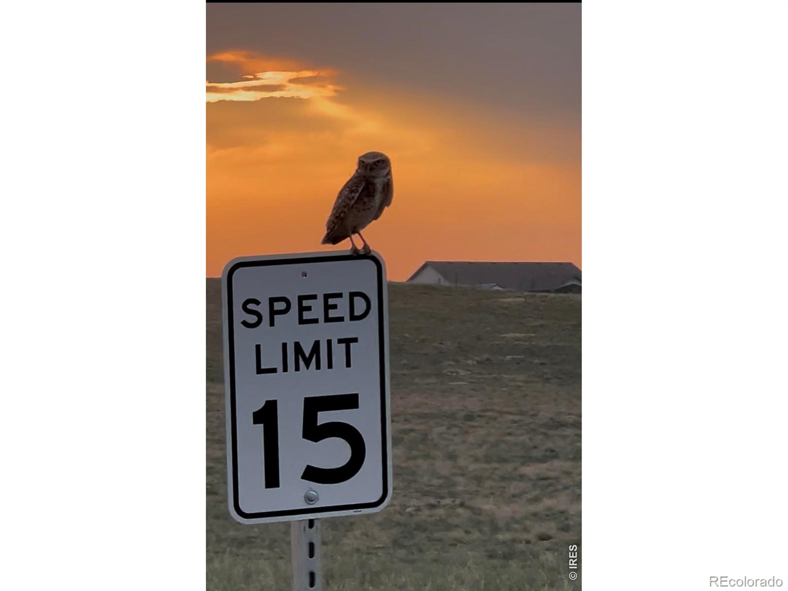 MLS Image #33 for 15563  road 7.3 ,wiggins, Colorado