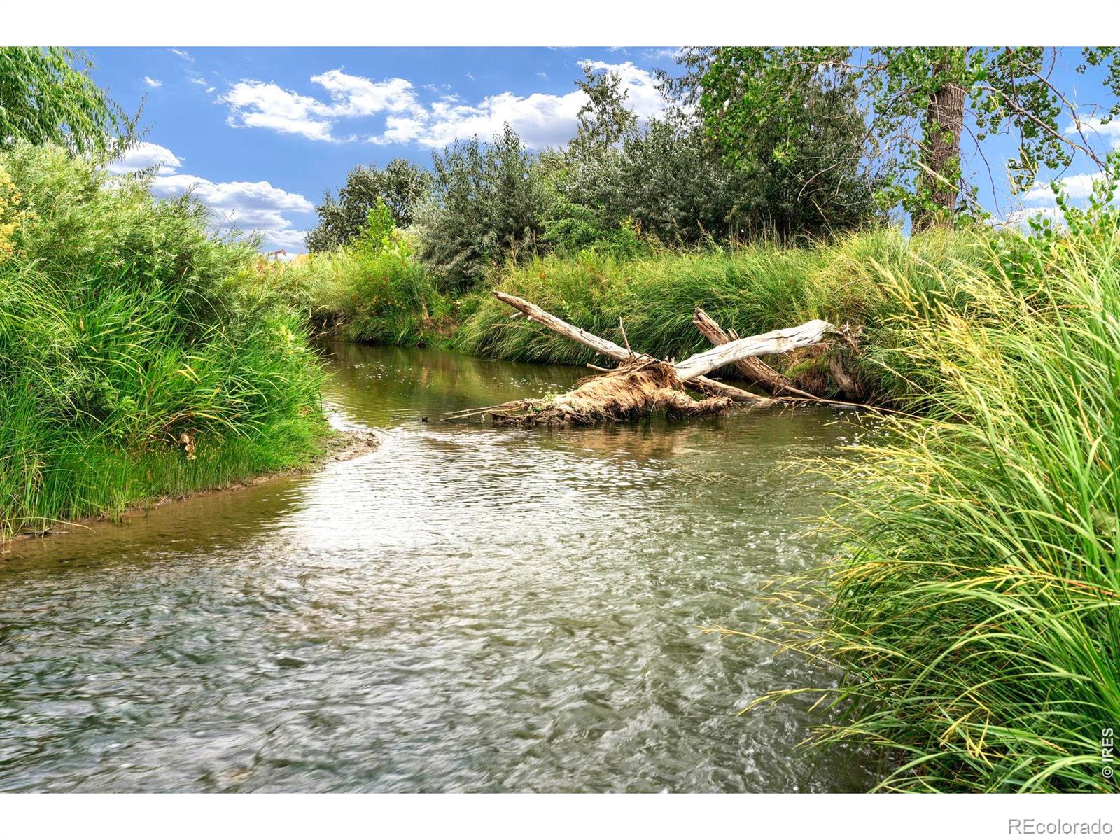 MLS Image #12 for 7212  county road 4 ,brighton, Colorado