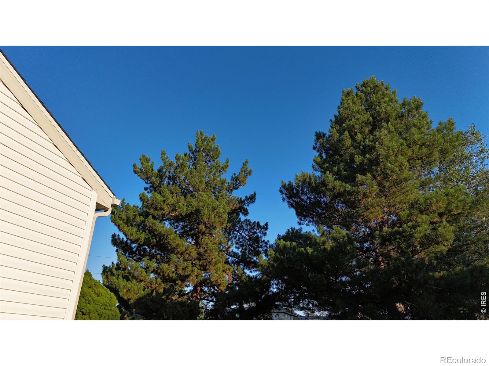 MLS Image #39 for 5240 s pagosa way,centennial, Colorado
