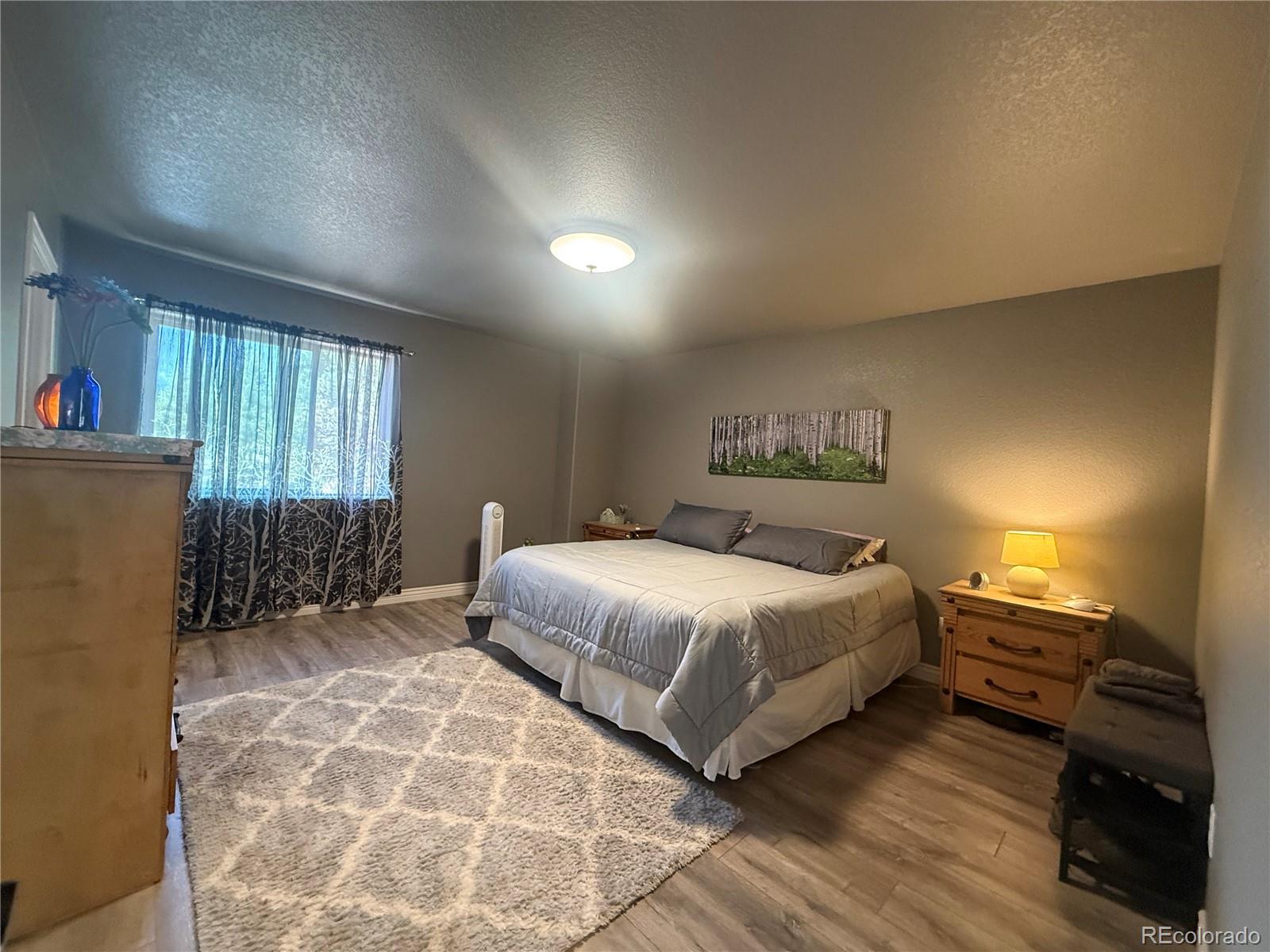 MLS Image #11 for 24  big horn circle,florissant, Colorado