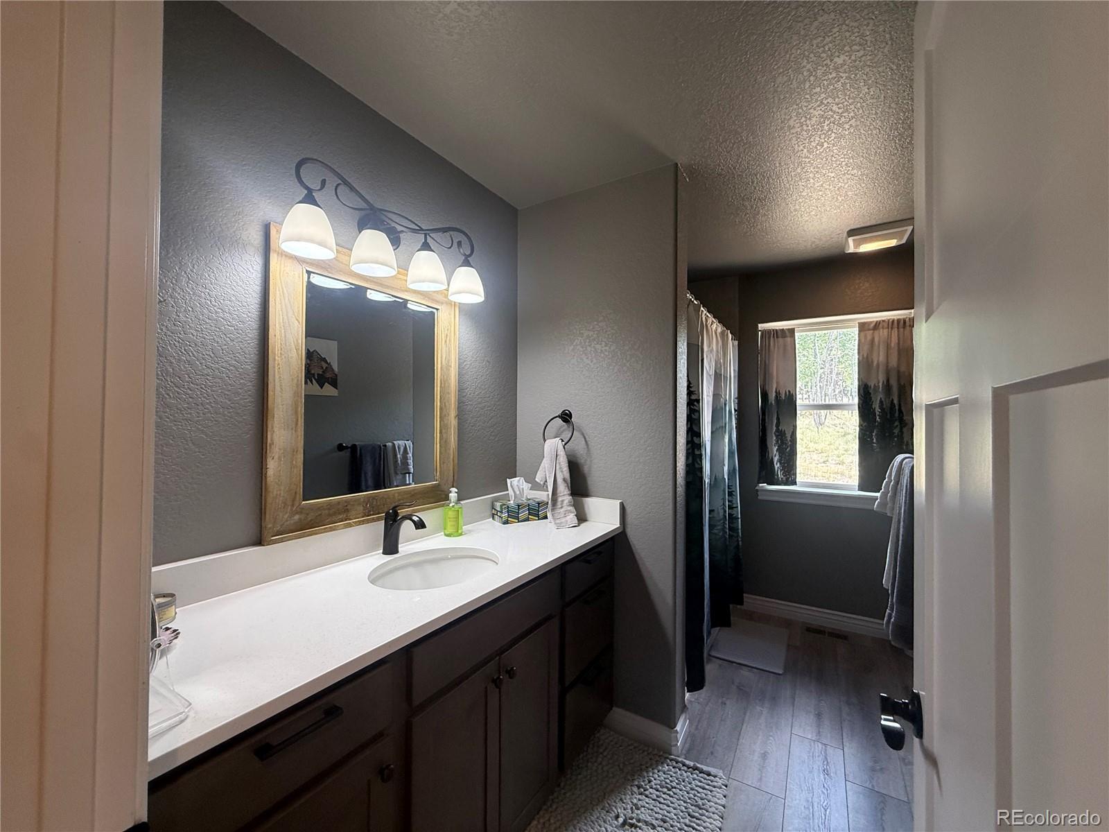 MLS Image #13 for 24  big horn circle,florissant, Colorado
