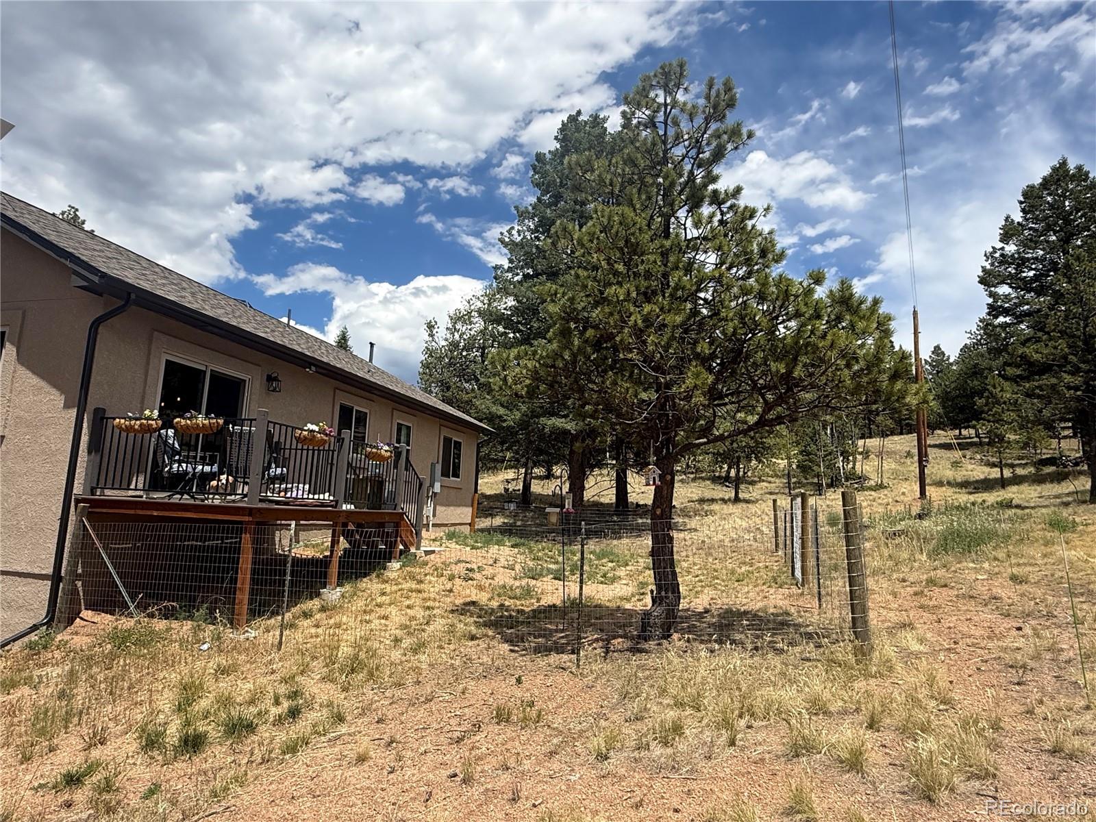 MLS Image #5 for 24  big horn circle,florissant, Colorado
