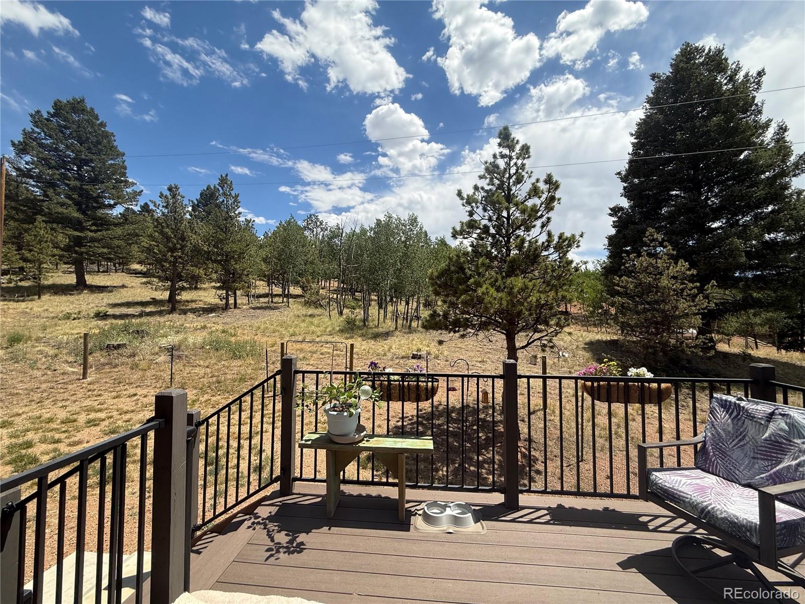 MLS Image #6 for 24  big horn circle,florissant, Colorado