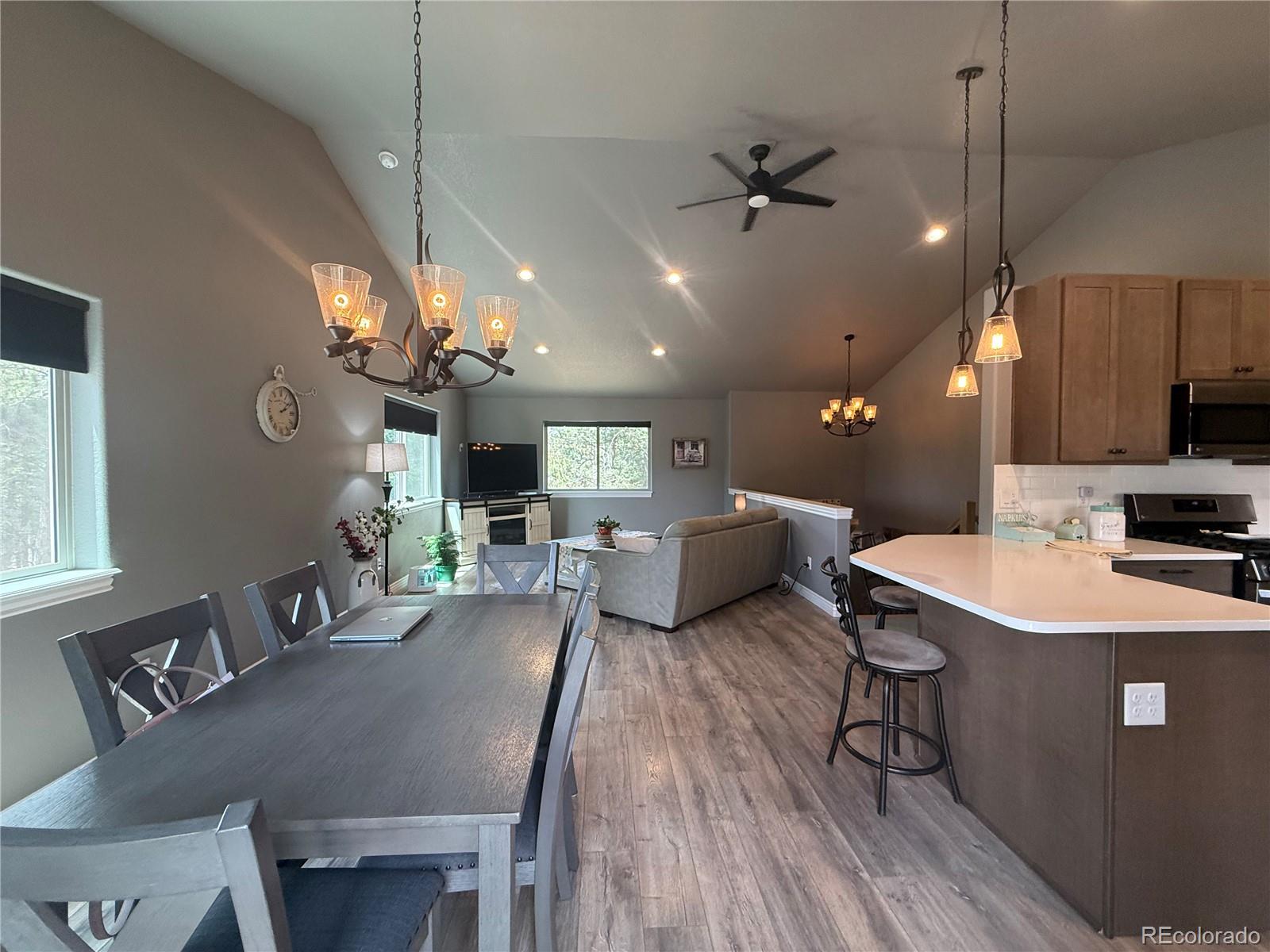 MLS Image #7 for 24  big horn circle,florissant, Colorado