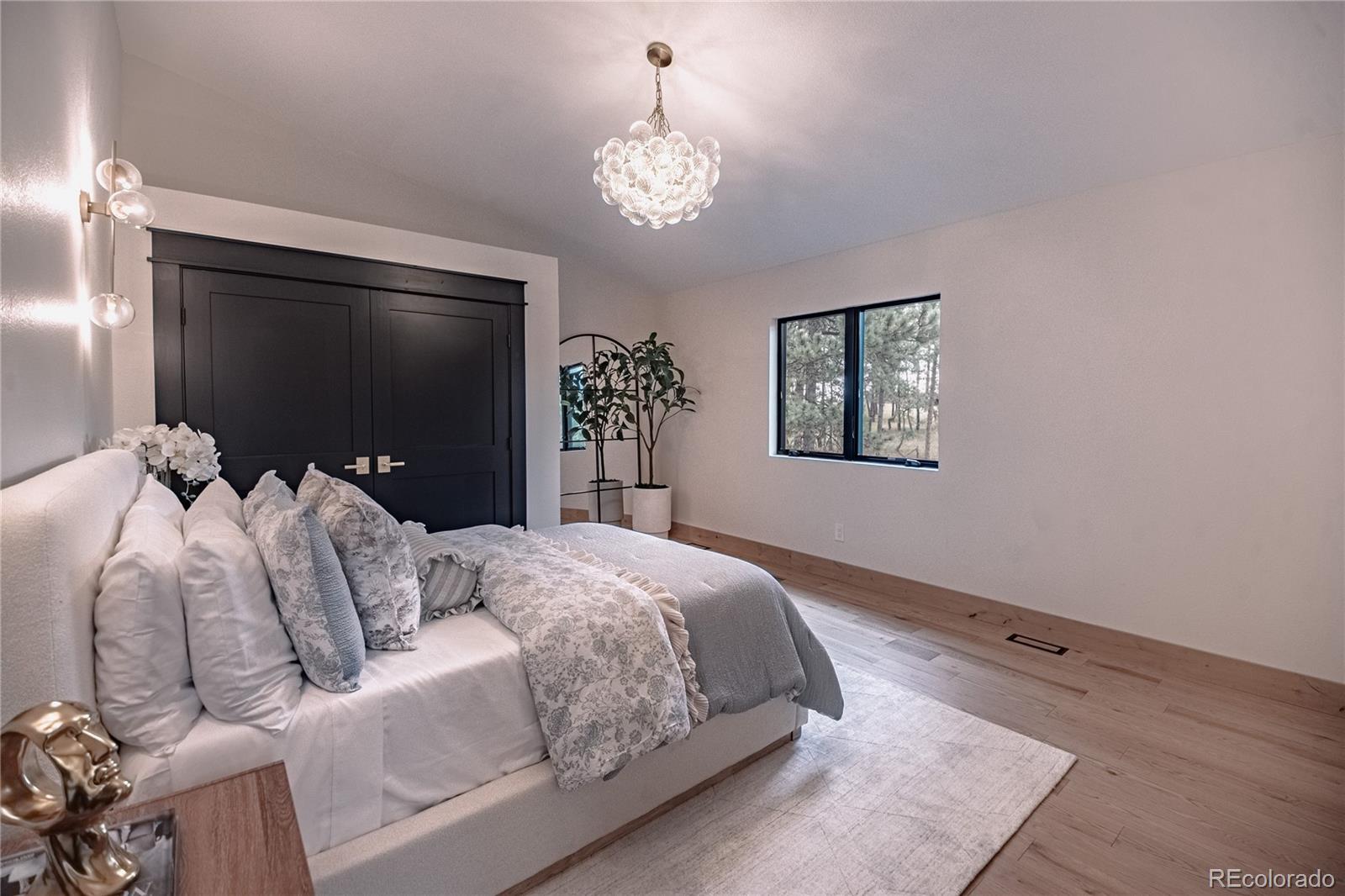MLS Image #21 for 16575  roller coaster road,colorado springs, Colorado