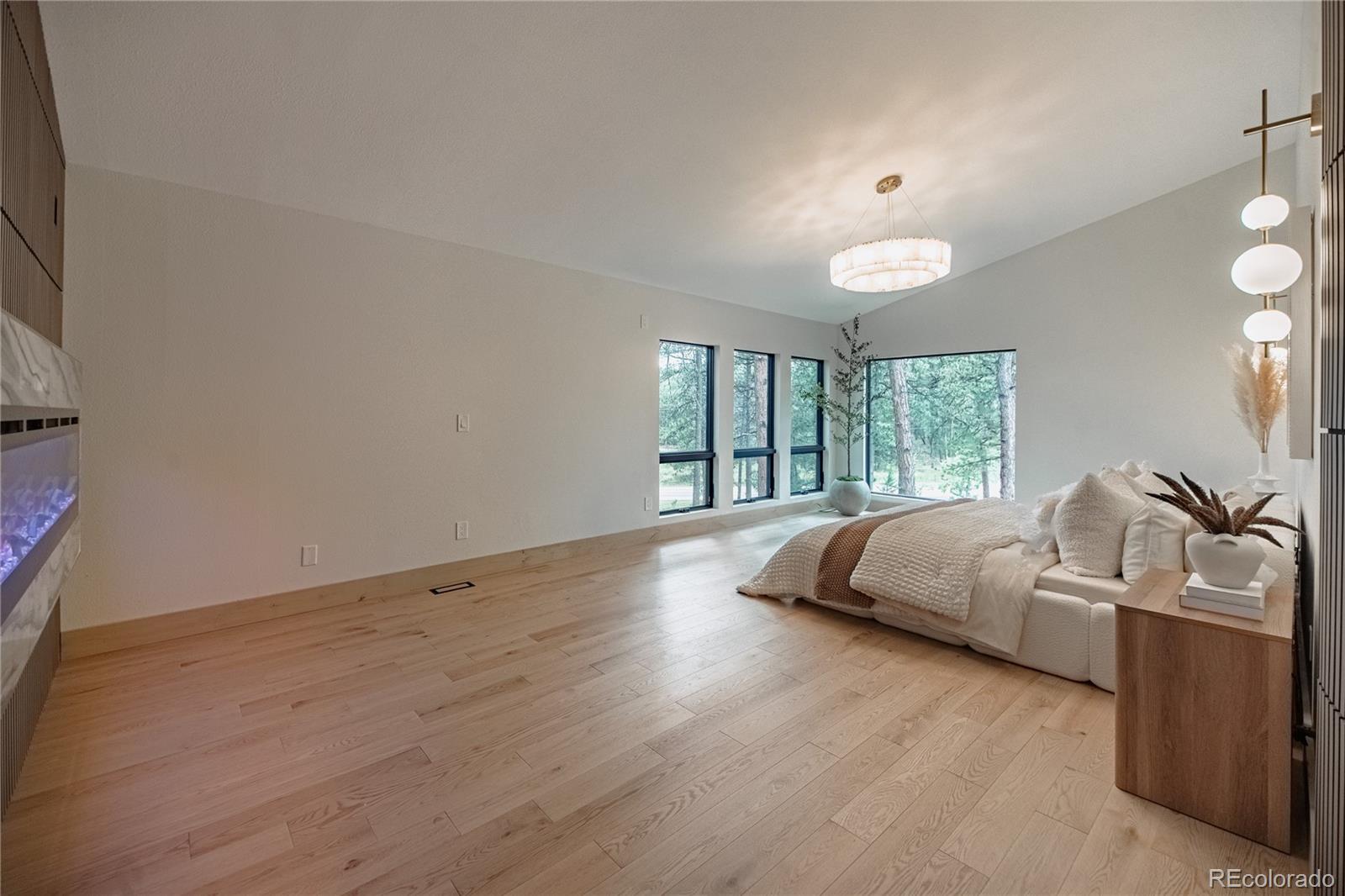 MLS Image #26 for 16575  roller coaster road,colorado springs, Colorado