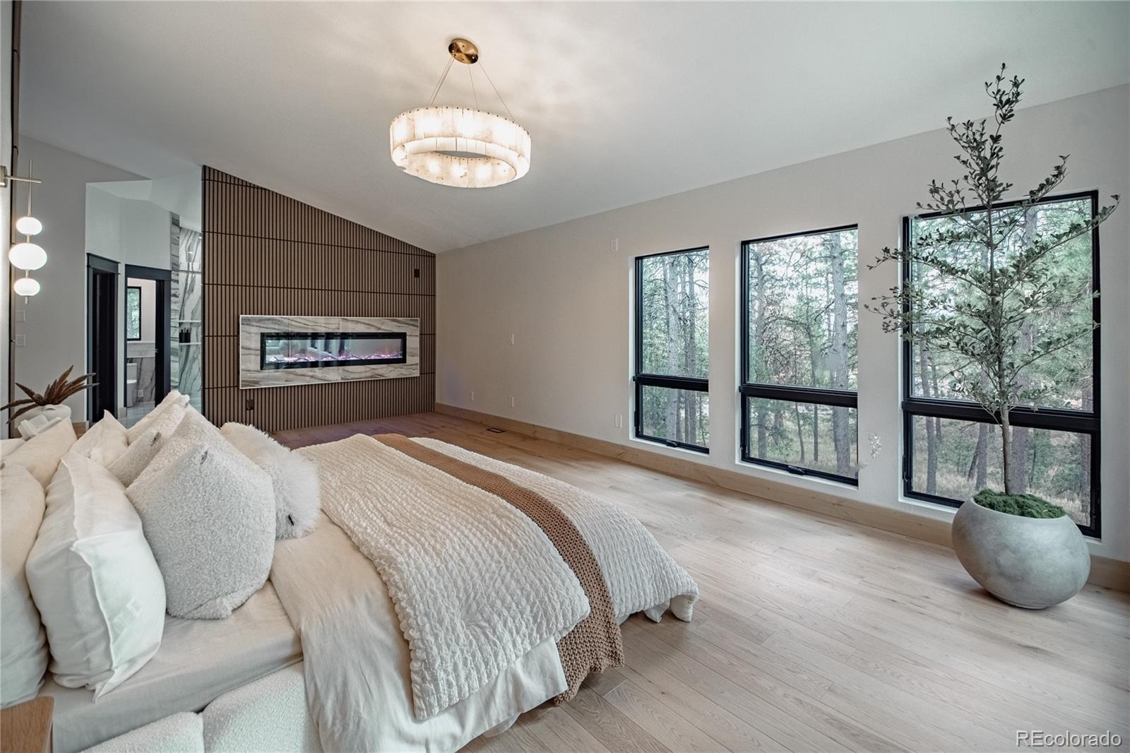 MLS Image #28 for 16575  roller coaster road,colorado springs, Colorado