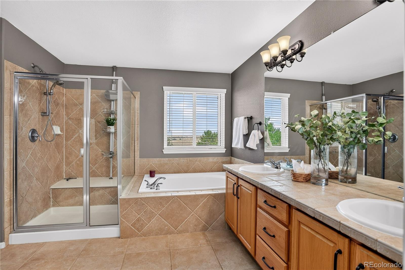 MLS Image #23 for 460  columbine drive,bennett, Colorado