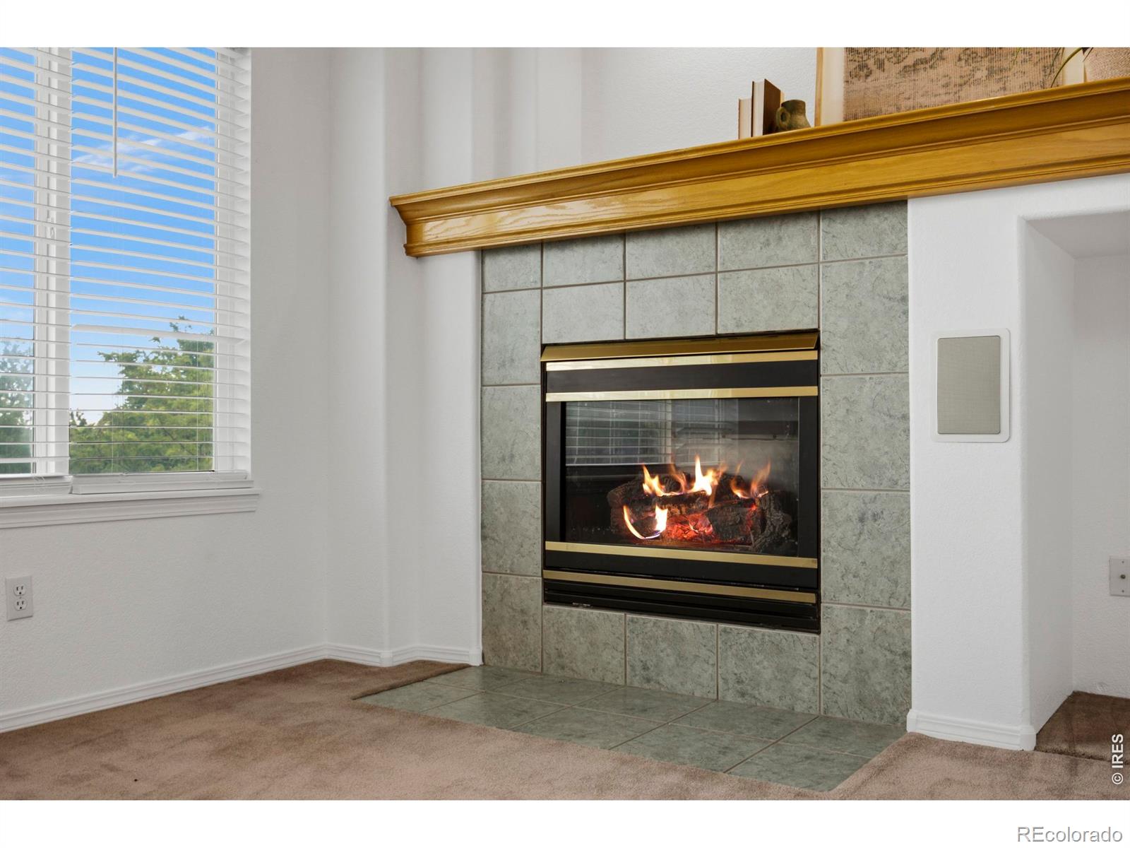 MLS Image #17 for 824  westbourn court,fort collins, Colorado