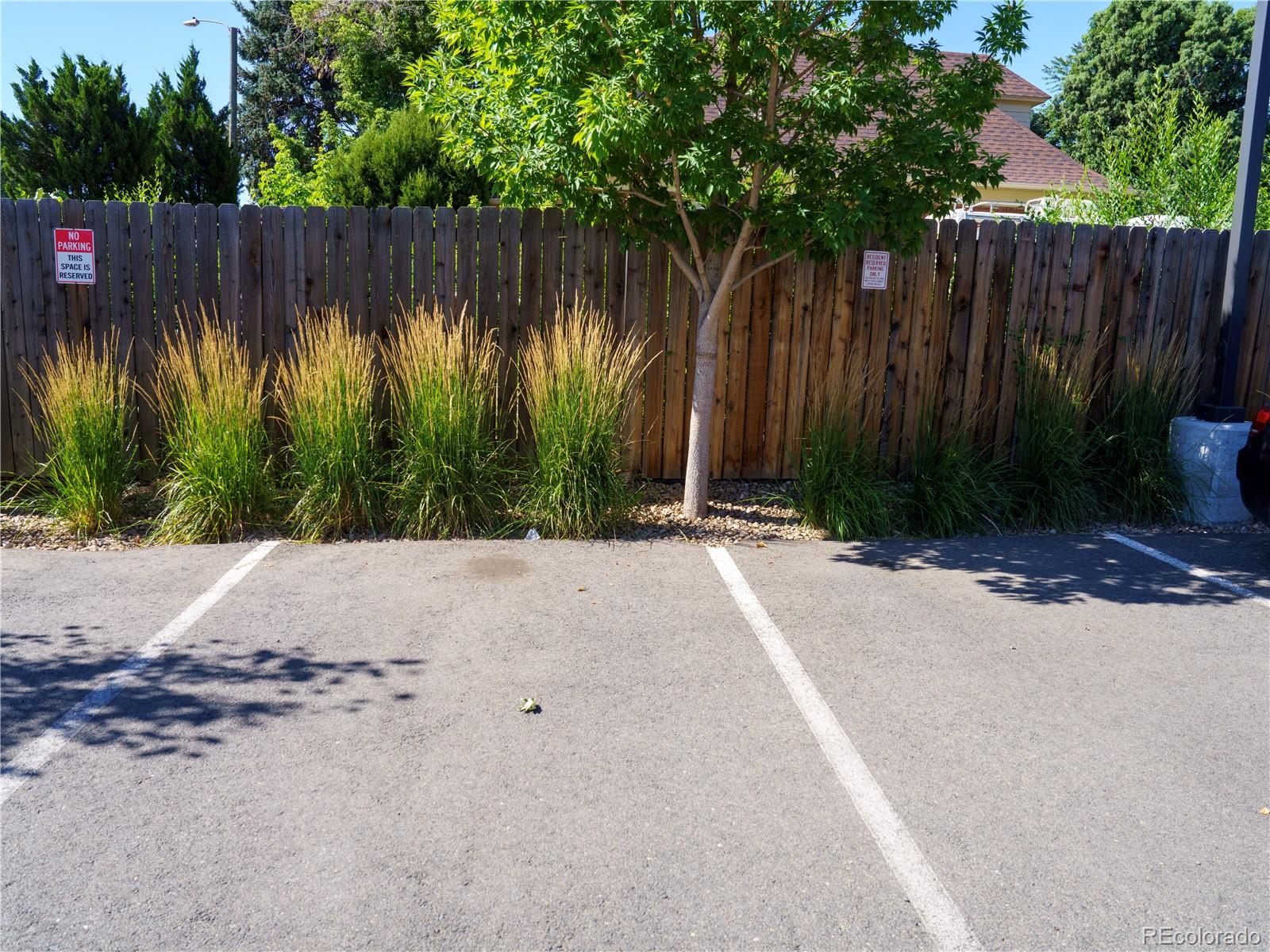 MLS Image #14 for 1495  vrain street,denver, Colorado