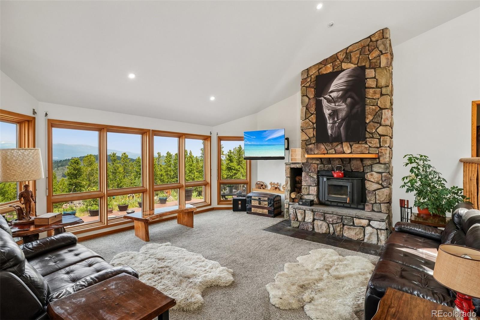 MLS Image #12 for 480 n county road,rollinsville, Colorado