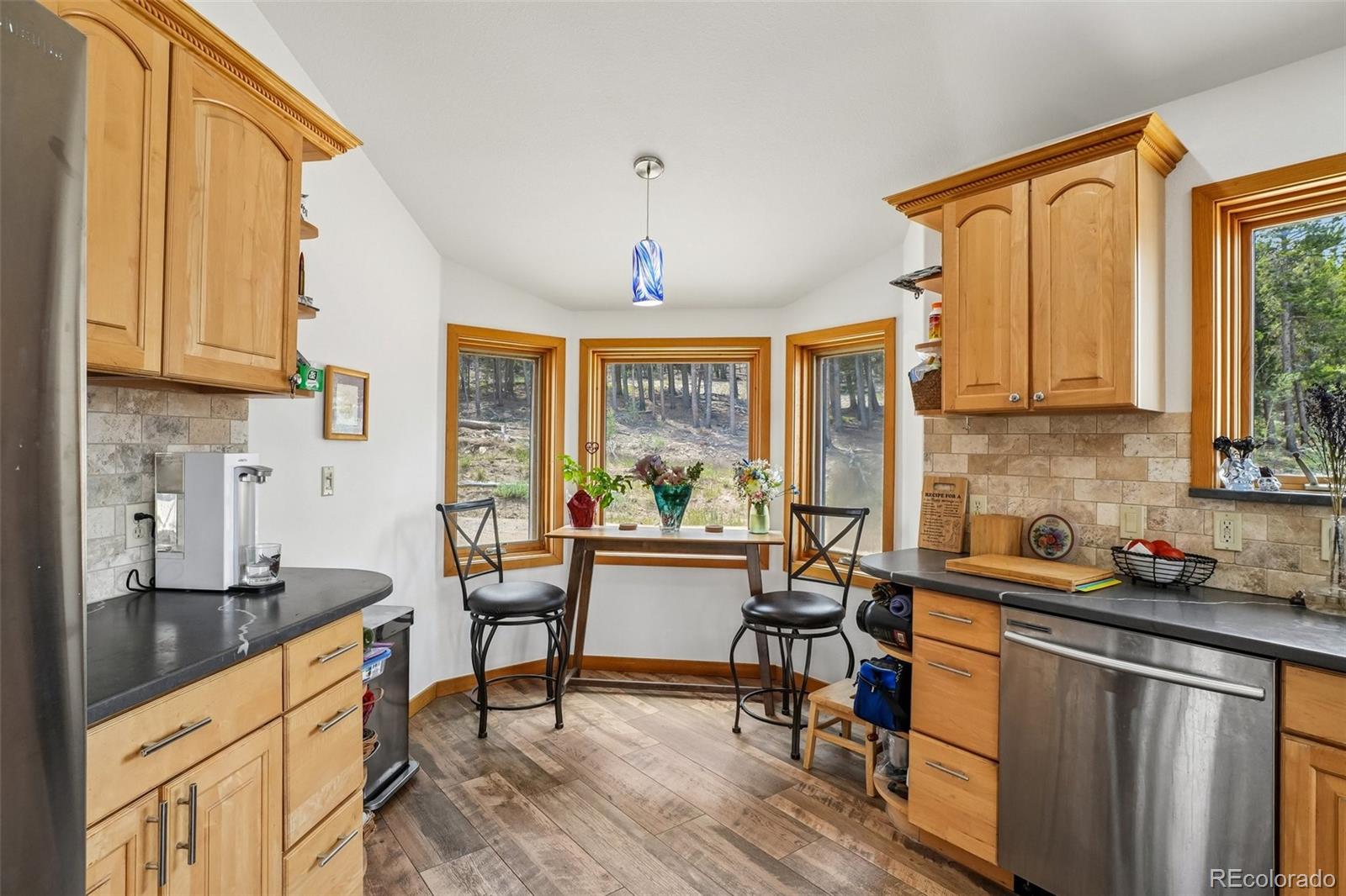 MLS Image #19 for 480 n county road,rollinsville, Colorado