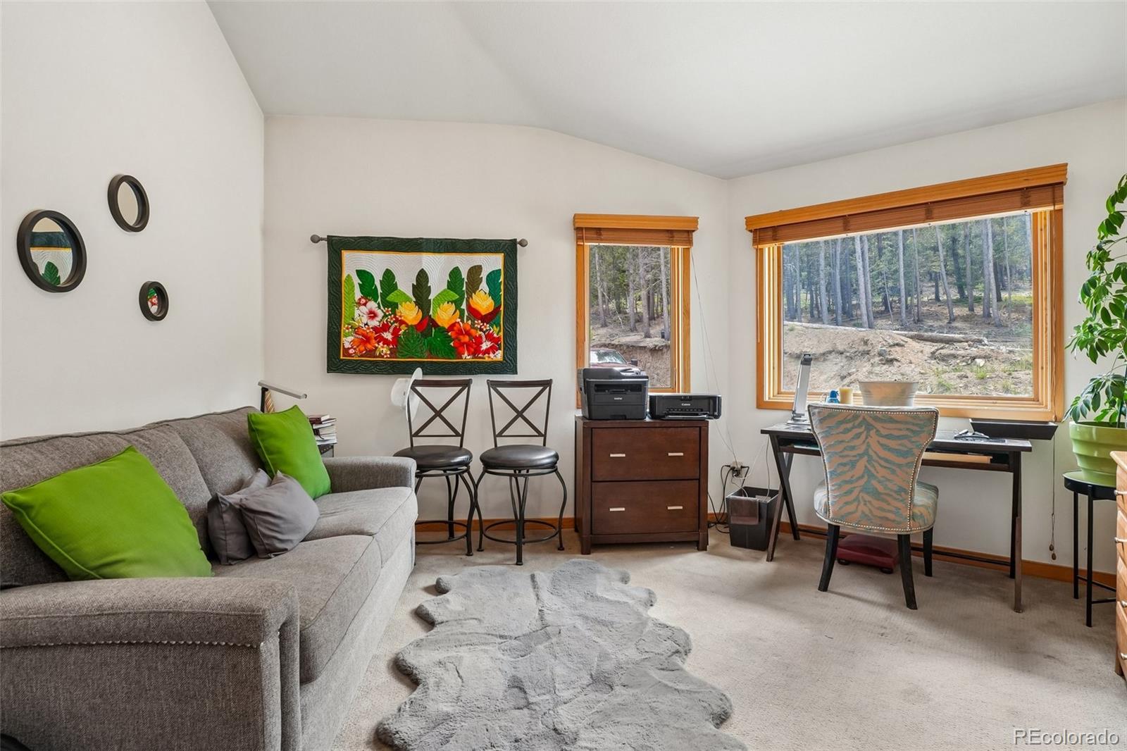MLS Image #34 for 480 n county road,rollinsville, Colorado