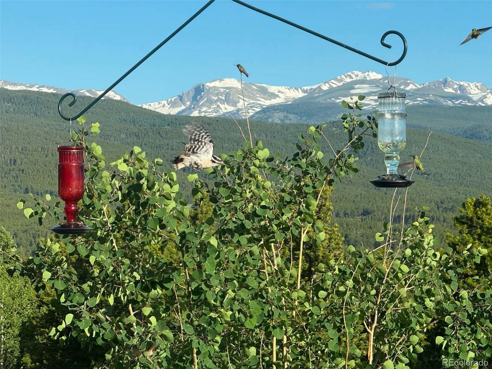 MLS Image #46 for 480 n county road,rollinsville, Colorado