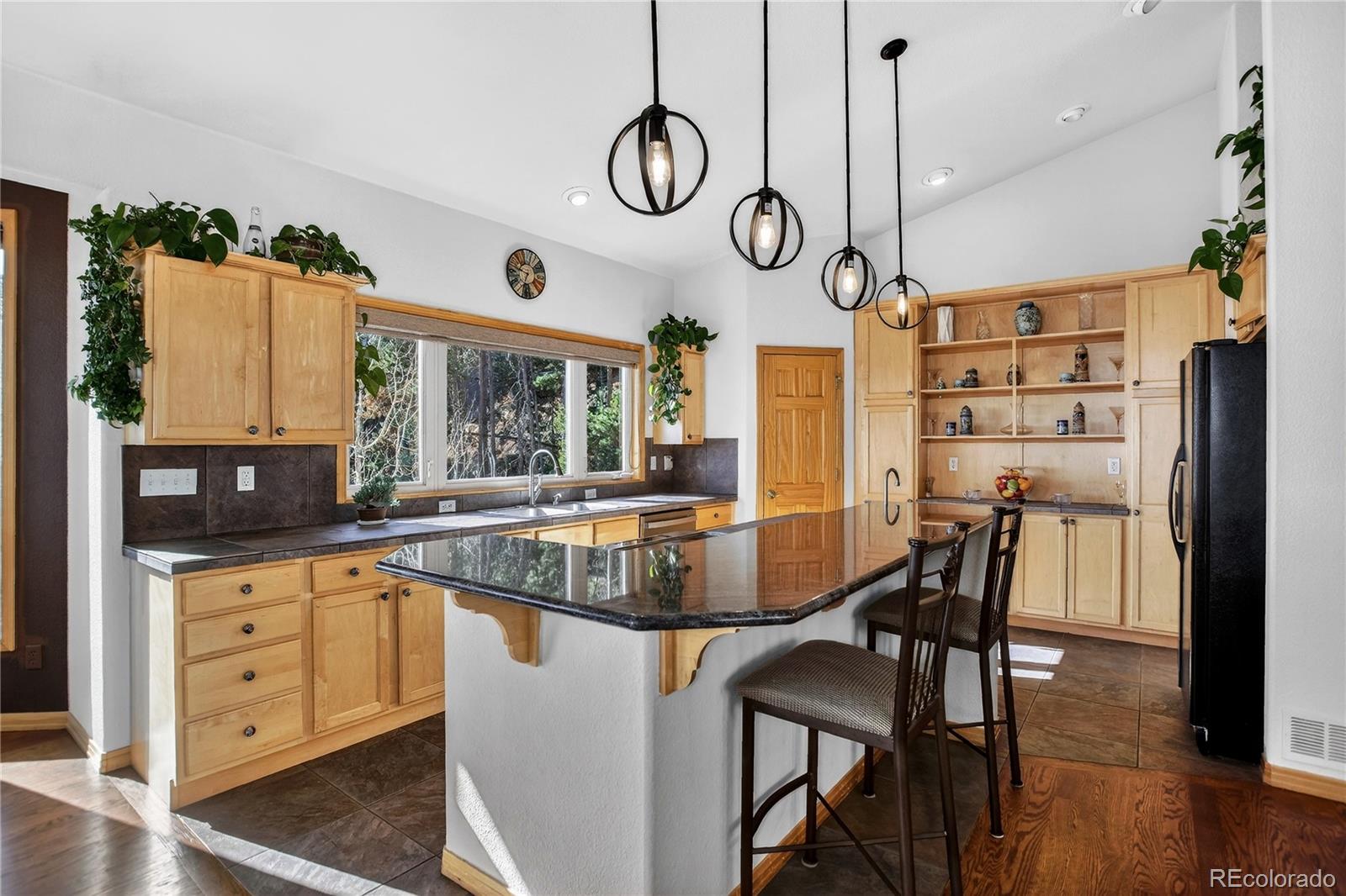 MLS Image #11 for 1255  hy vu drive,evergreen, Colorado