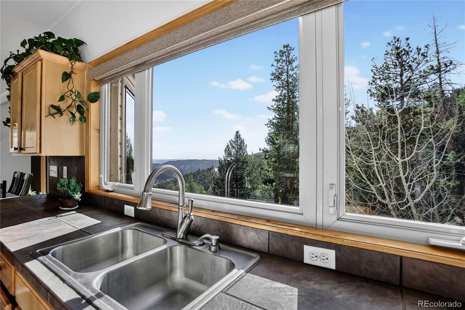 MLS Image #15 for 1255  hy vu drive,evergreen, Colorado
