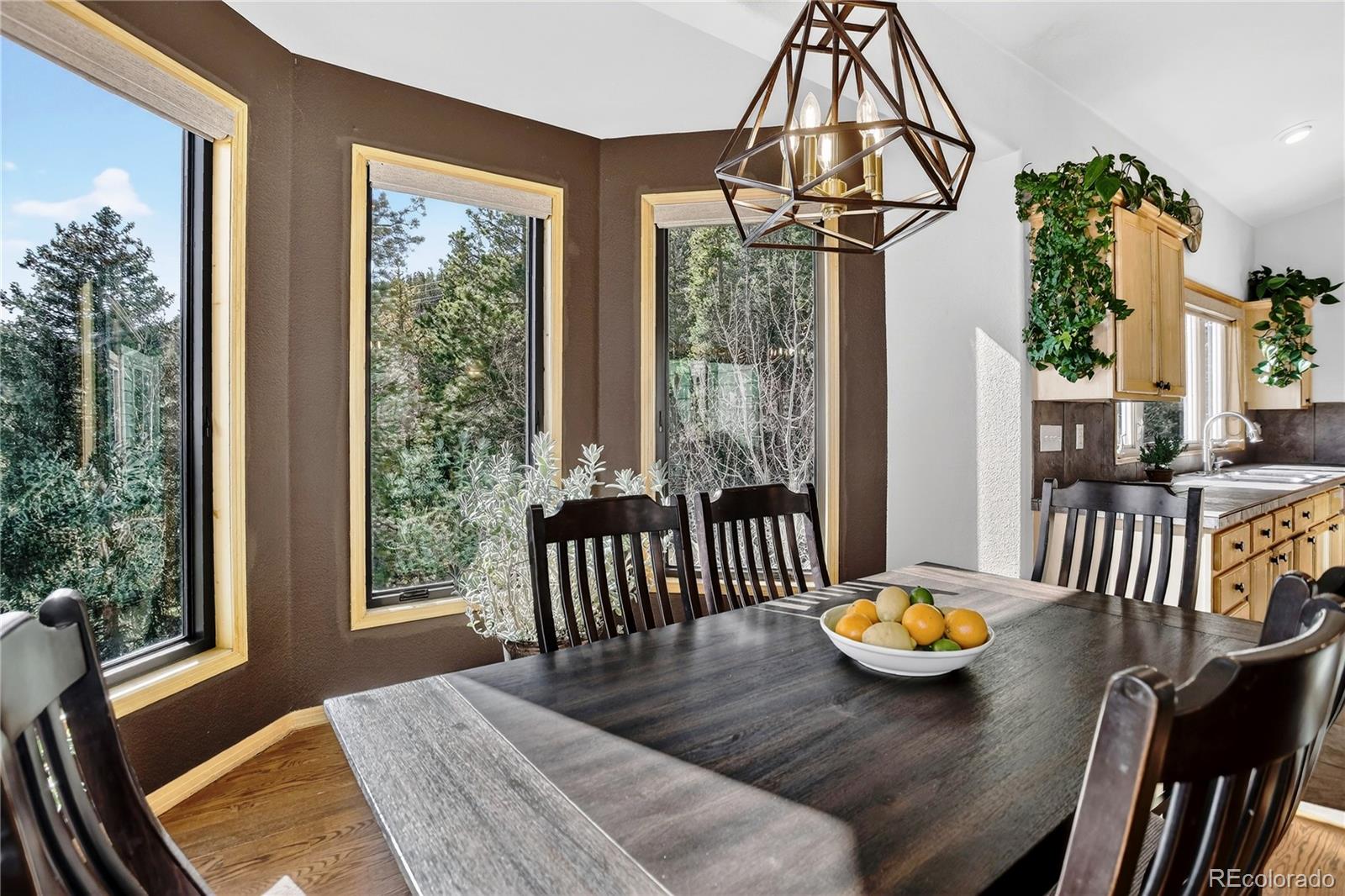 MLS Image #19 for 1255  hy vu drive,evergreen, Colorado