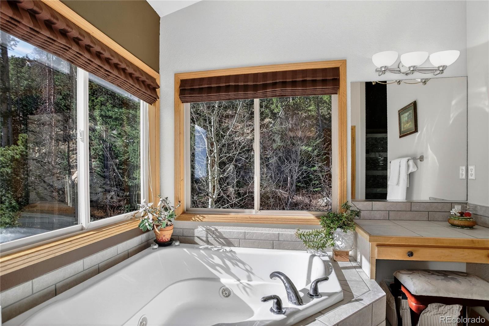 MLS Image #32 for 1255  hy vu drive,evergreen, Colorado