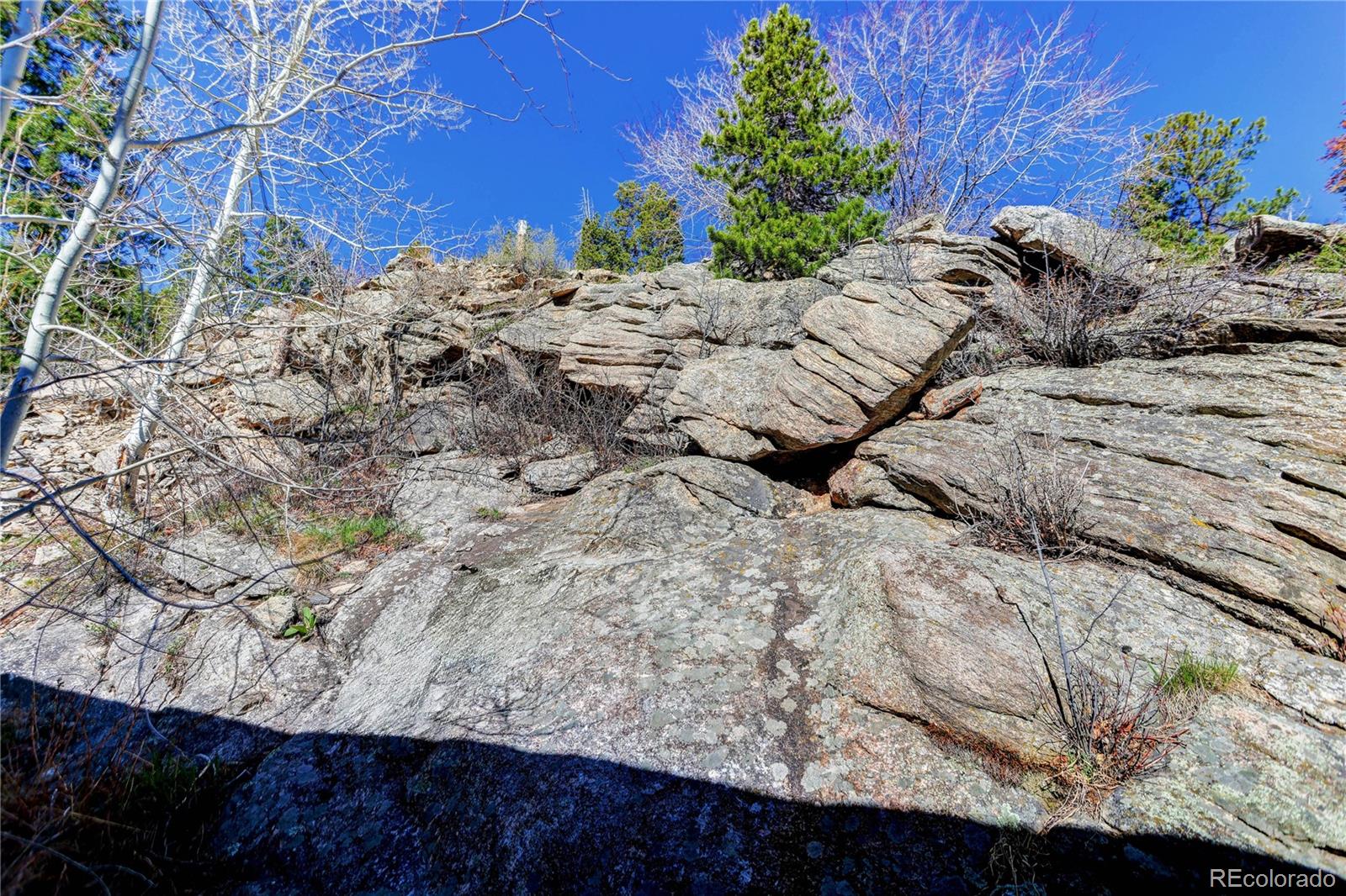 MLS Image #43 for 1255  hy vu drive,evergreen, Colorado