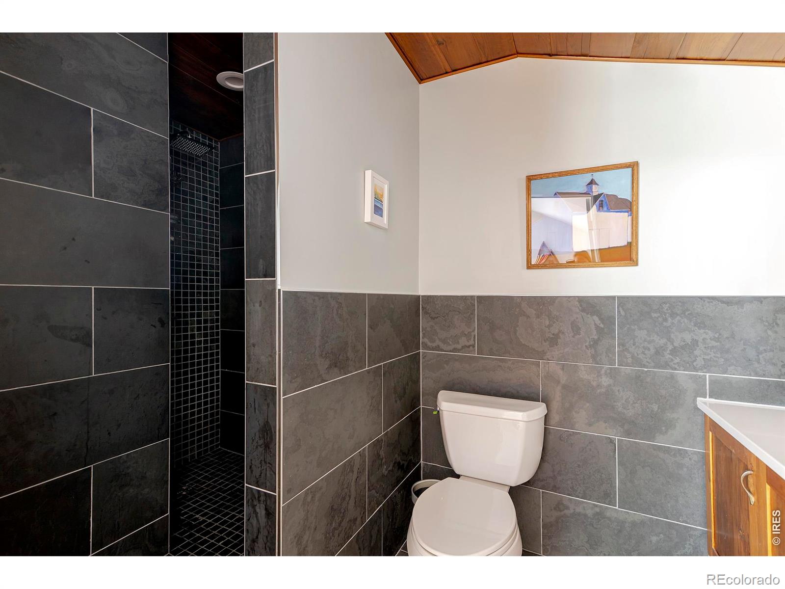 MLS Image #13 for 139  forest trail,winter park, Colorado