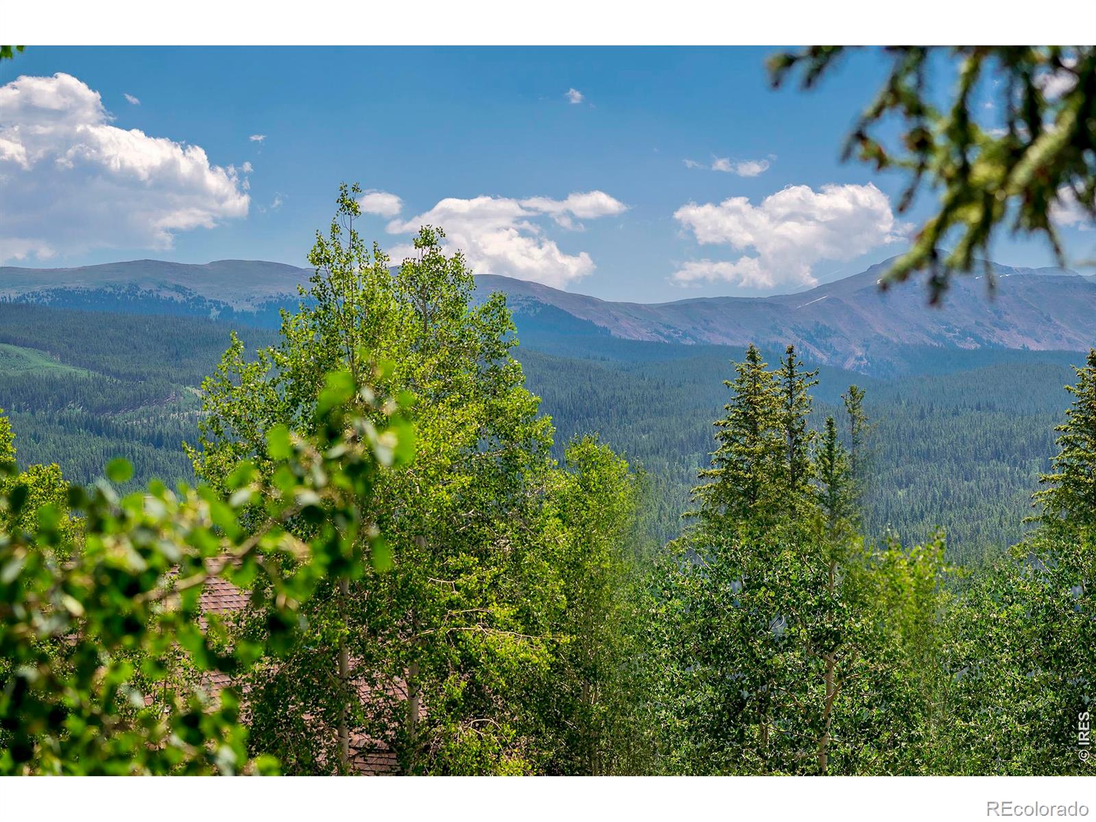 MLS Image #4 for 139  forest trail,winter park, Colorado