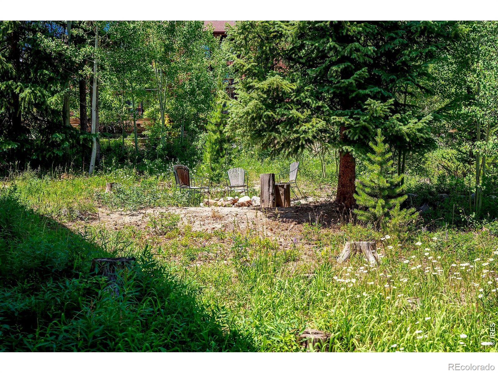 MLS Image #45 for 139  forest trail,winter park, Colorado