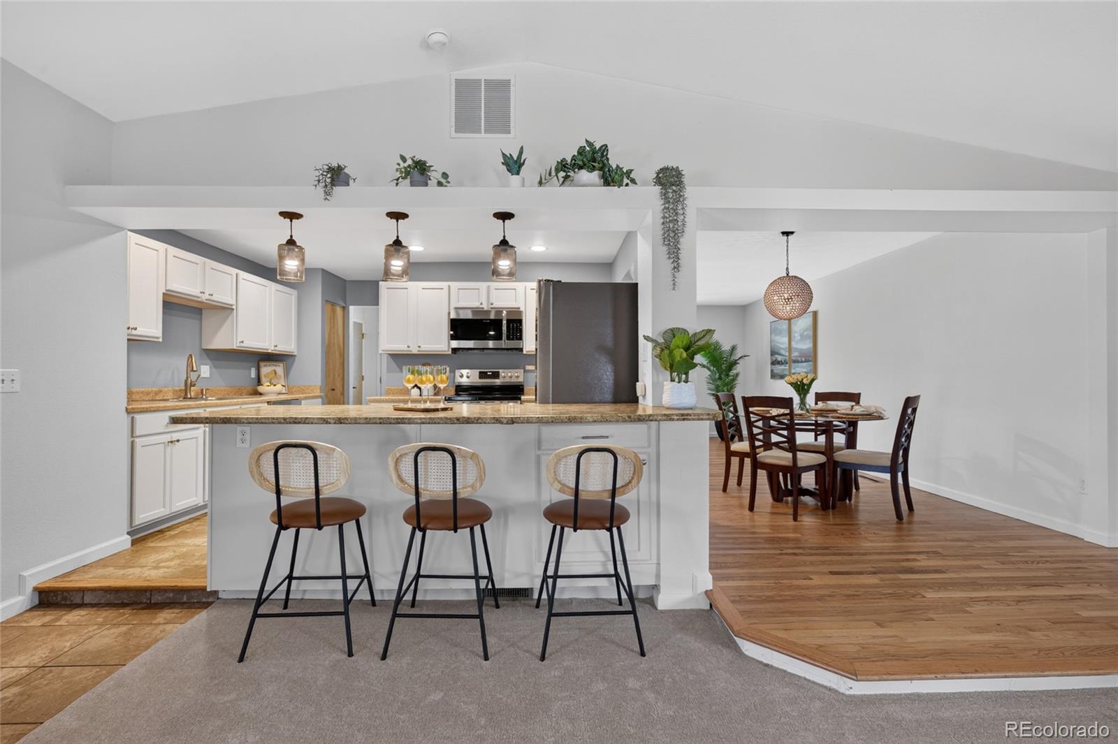 MLS Image #10 for 7981  robin lane,denver, Colorado