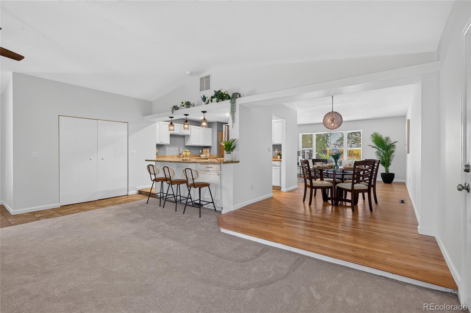 MLS Image #9 for 7981  robin lane,denver, Colorado