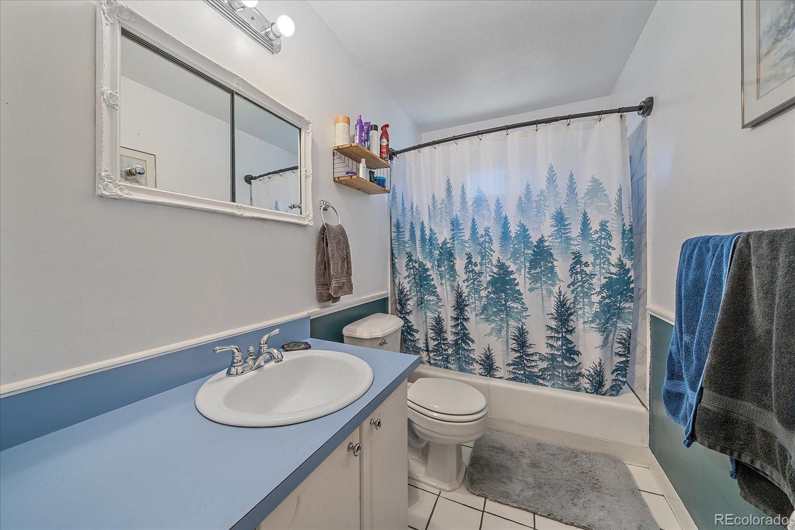 MLS Image #10 for 1654 s endicott street,denver, Colorado