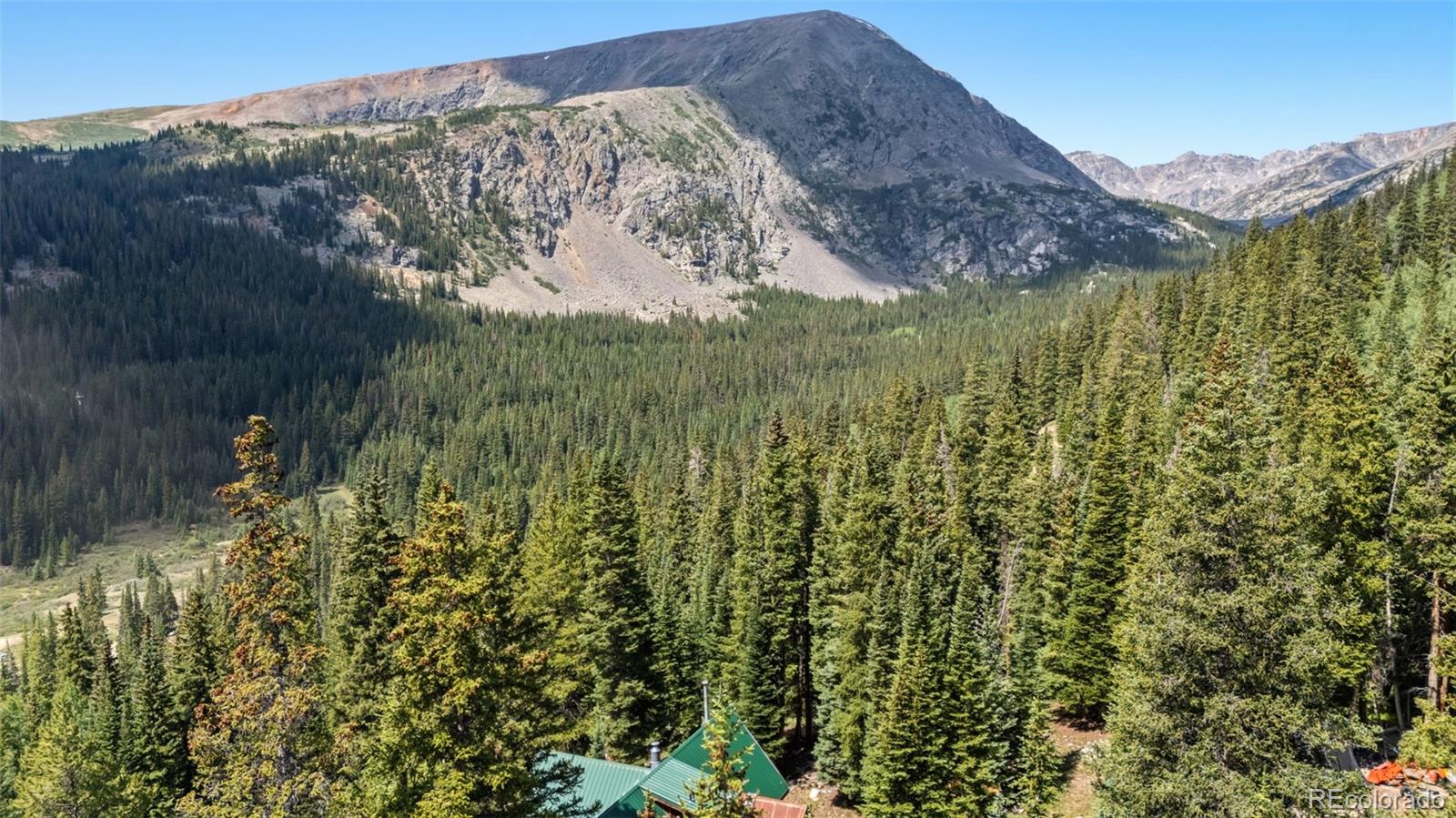 MLS Image #44 for 321  monte cristo mine road,breckenridge, Colorado