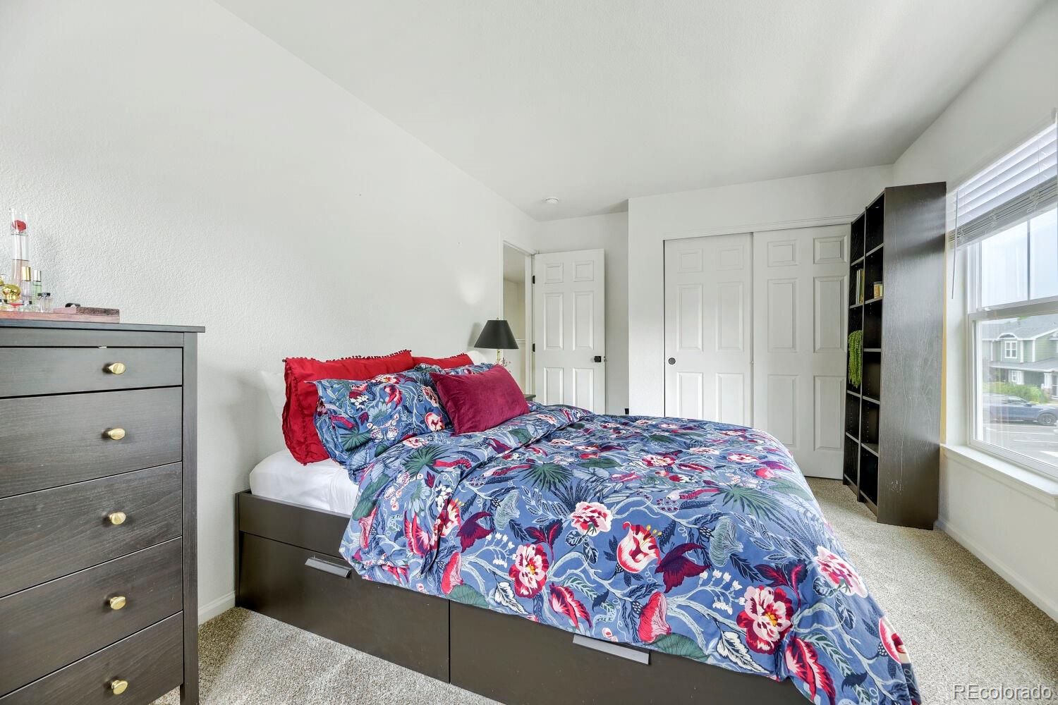MLS Image #23 for 17225  lark water lane,parker, Colorado