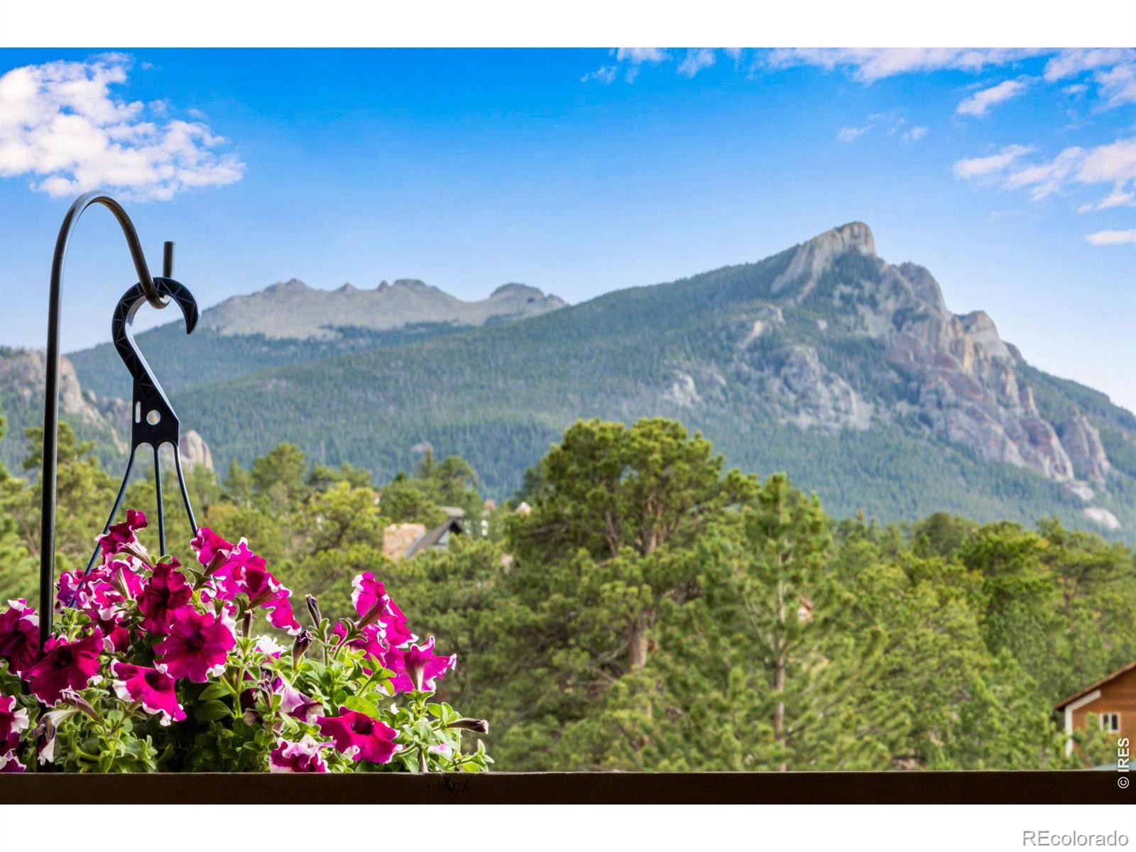 MLS Image #11 for 1005  hide a way lane,estes park, Colorado