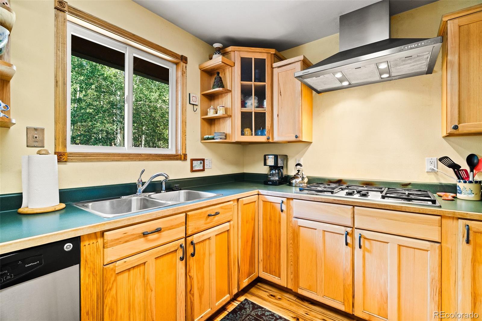 MLS Image #11 for 163  meadow view lane,fairplay, Colorado