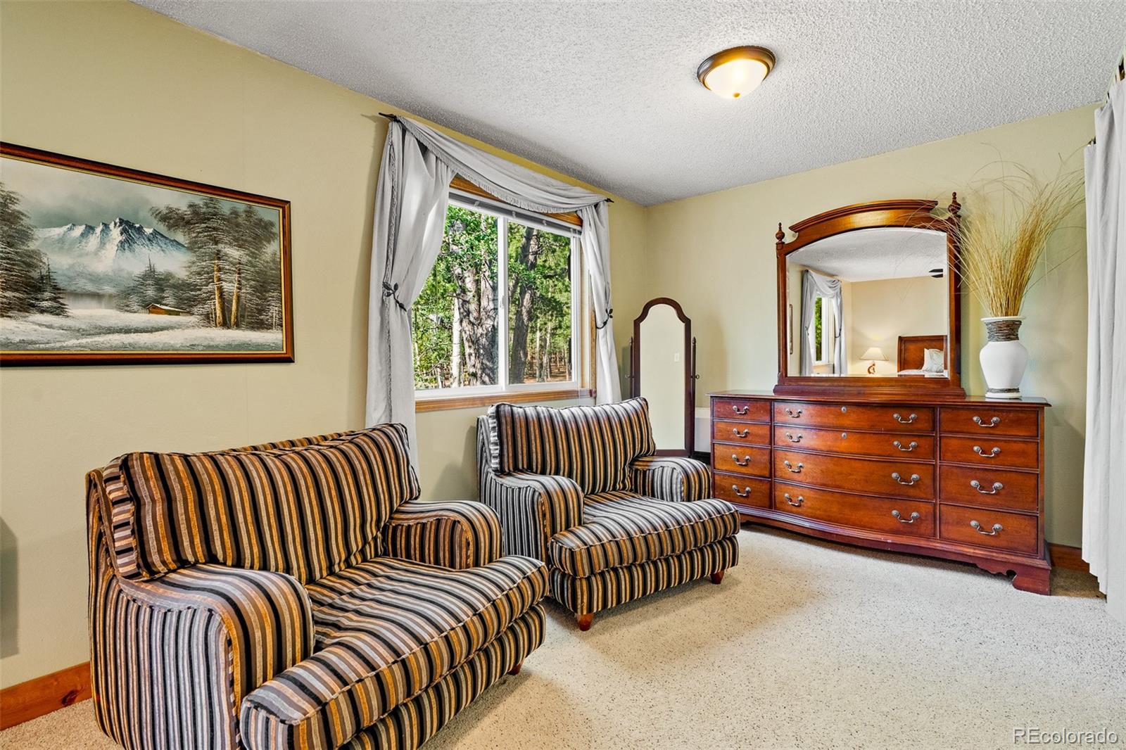 MLS Image #16 for 163  meadow view lane,fairplay, Colorado